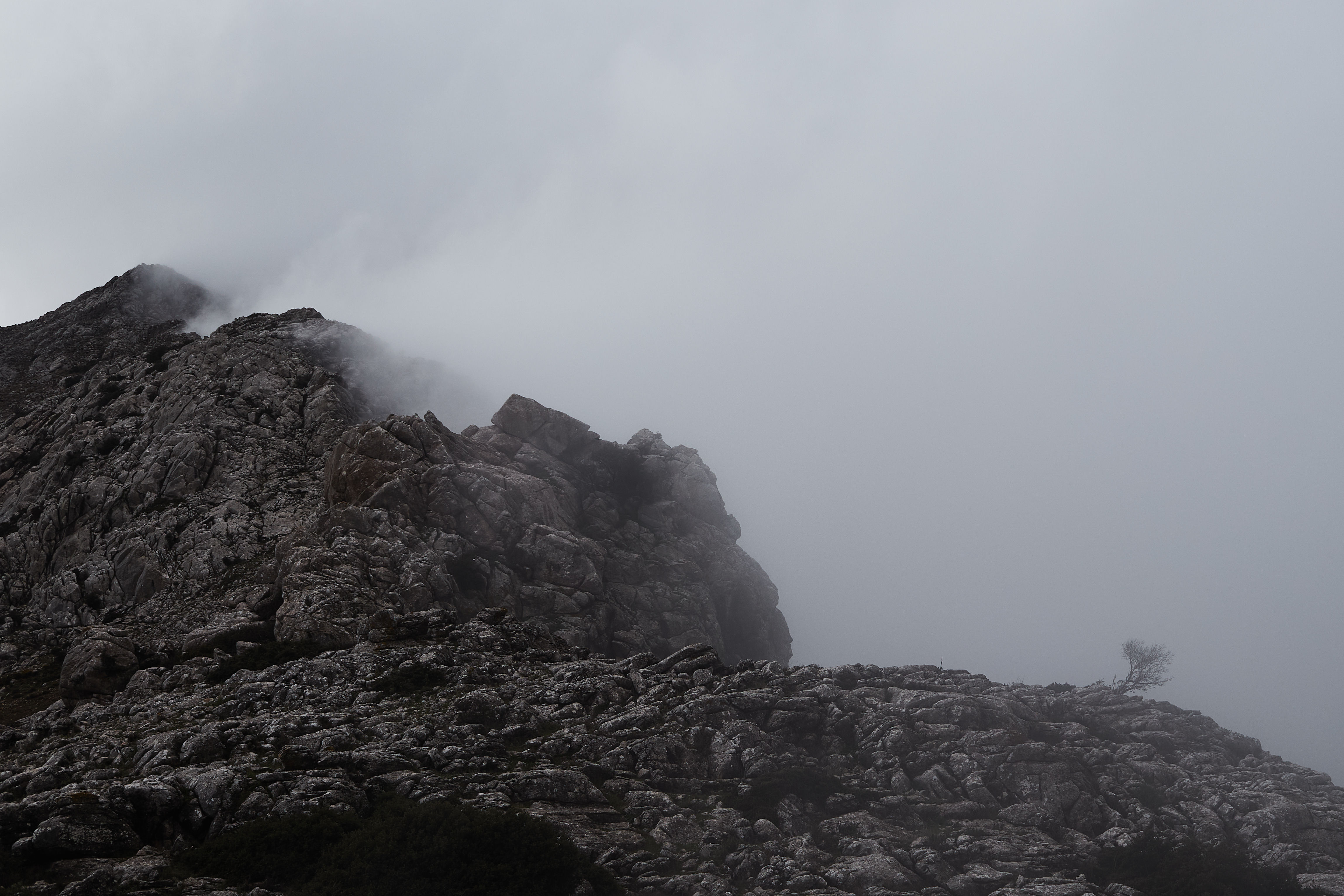 photo 86a39689f2928b13