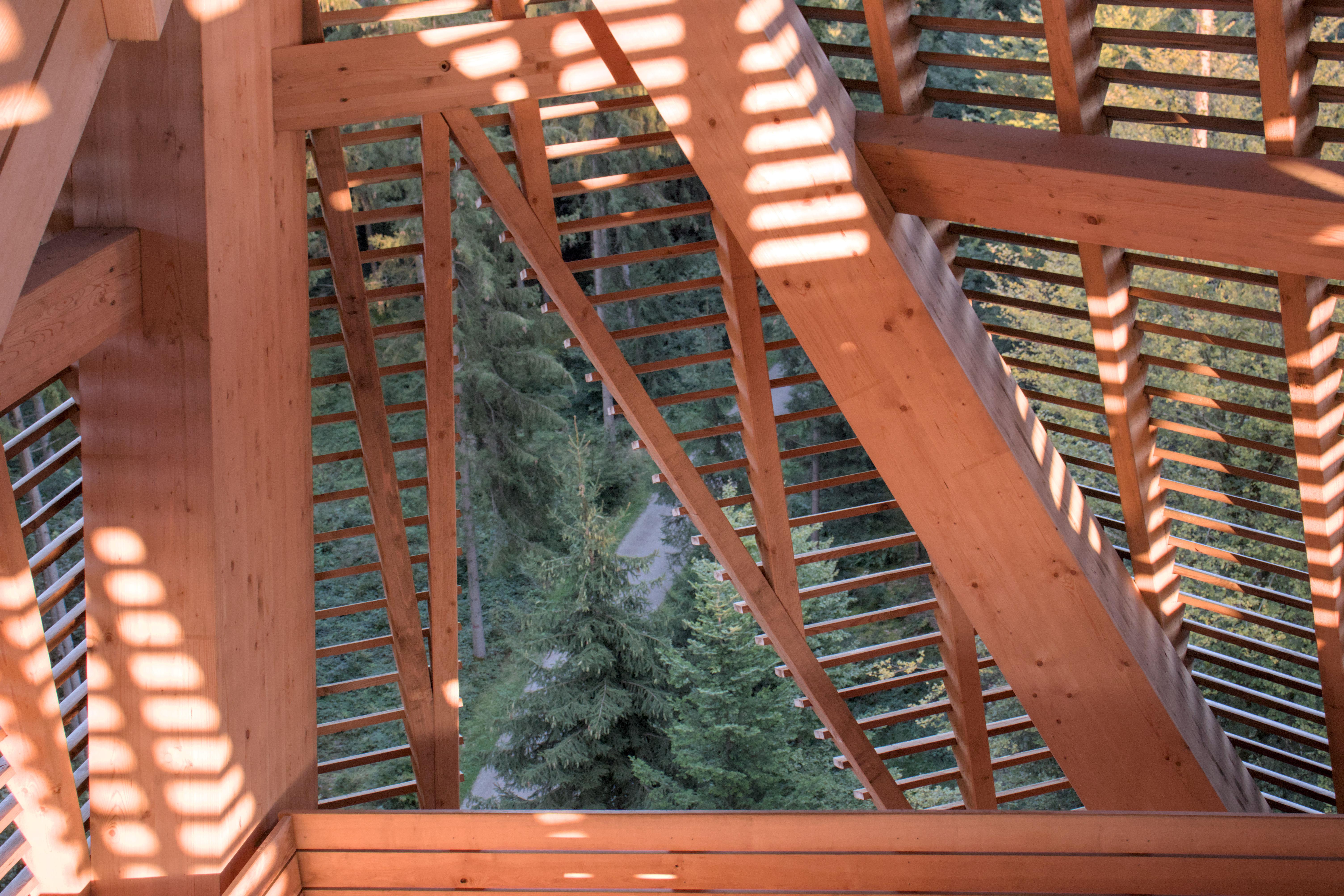 photo 880e7b09c2a8d9a8