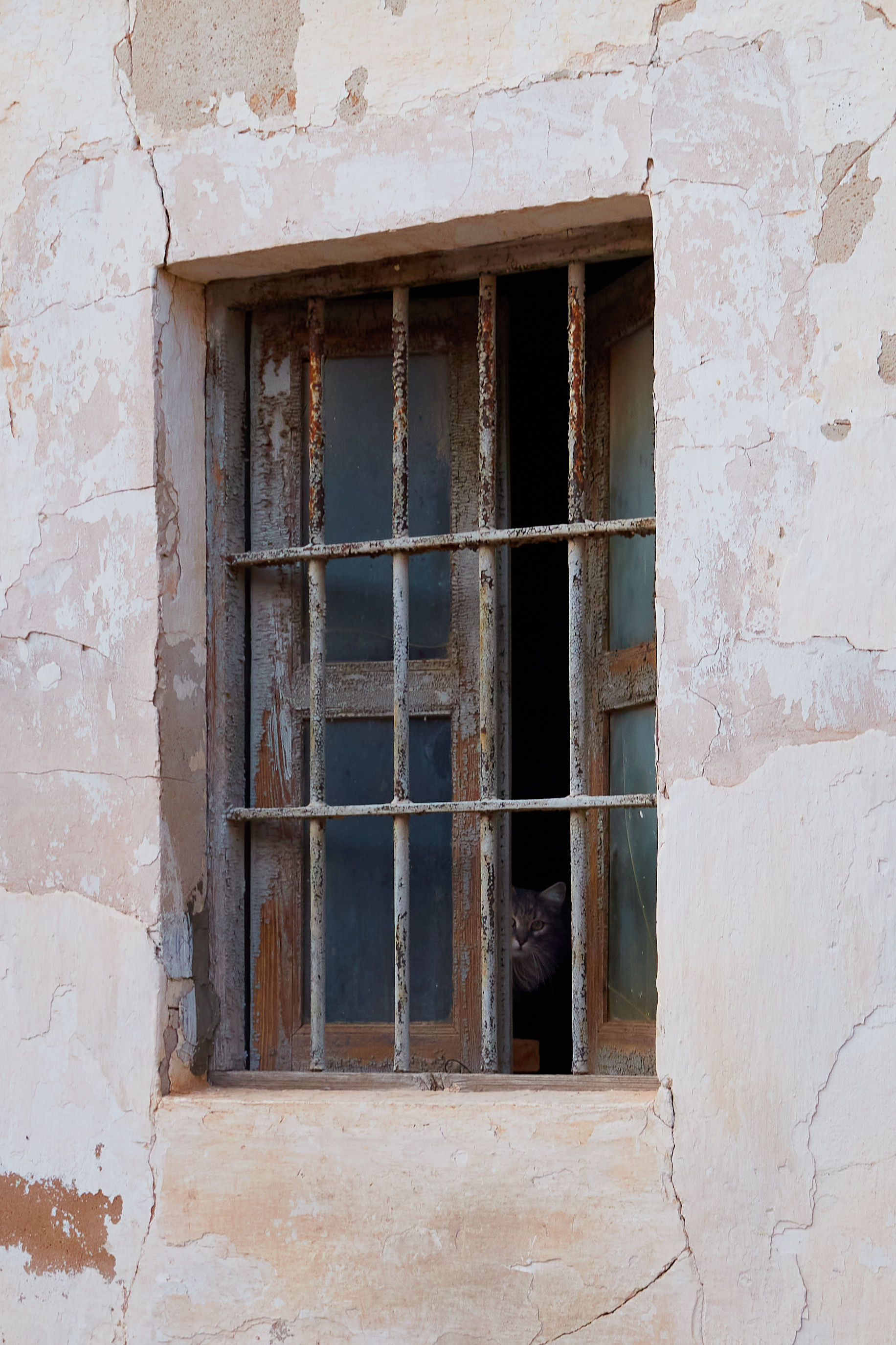 photo 8cf475e88d42bda0