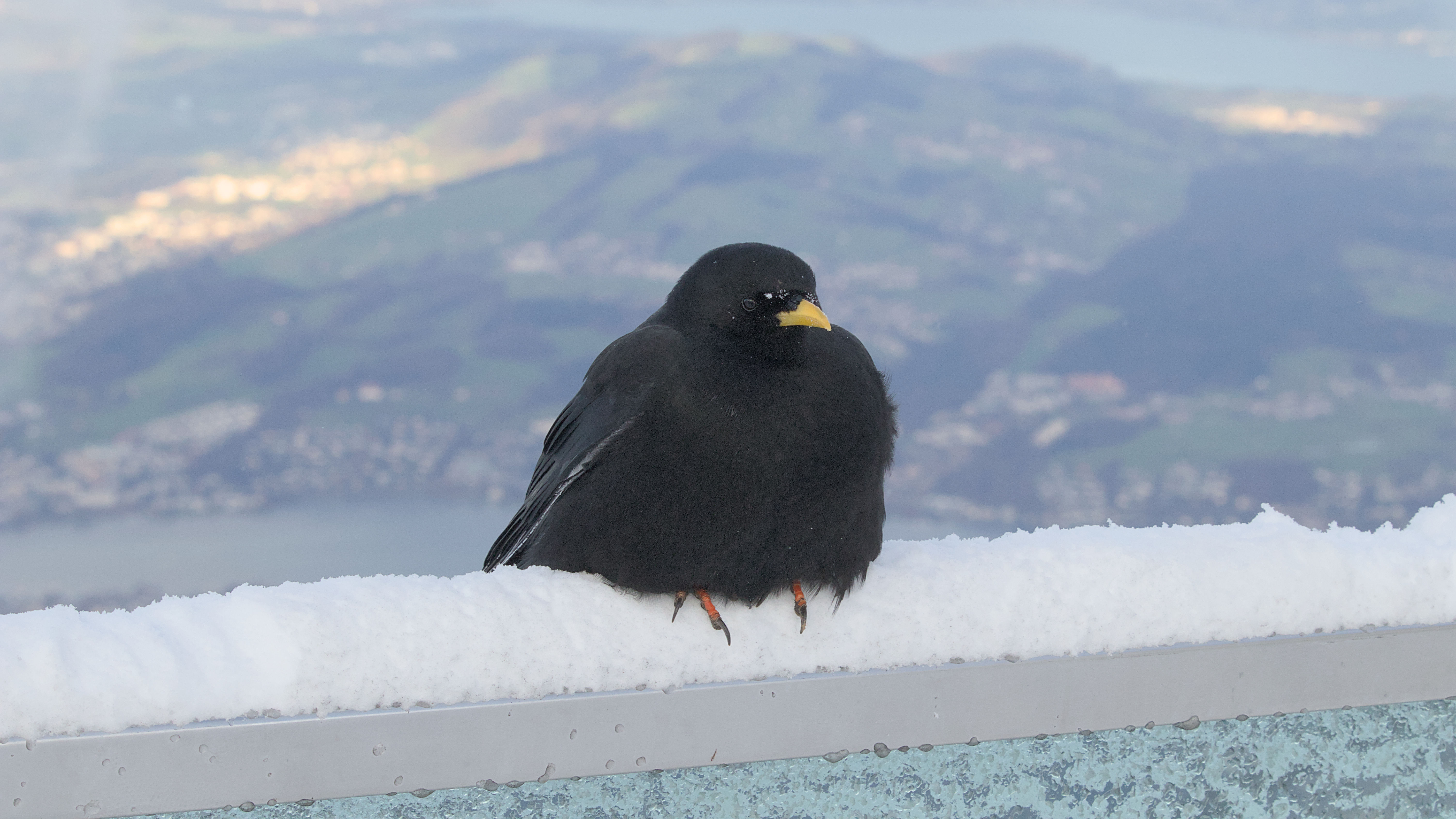 photo 8db8577c306a3f0f