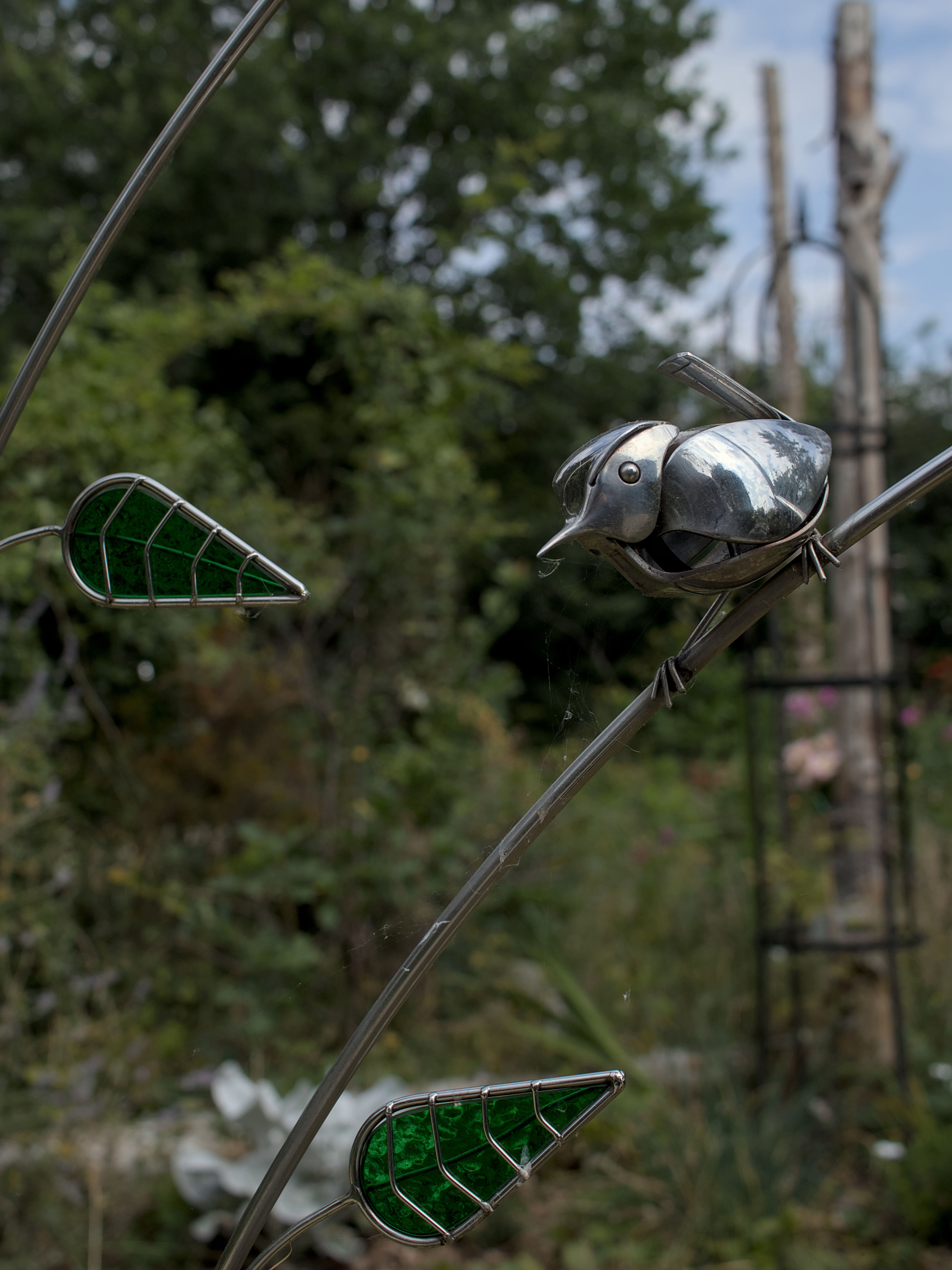 photo 8f448beb531a5bc5