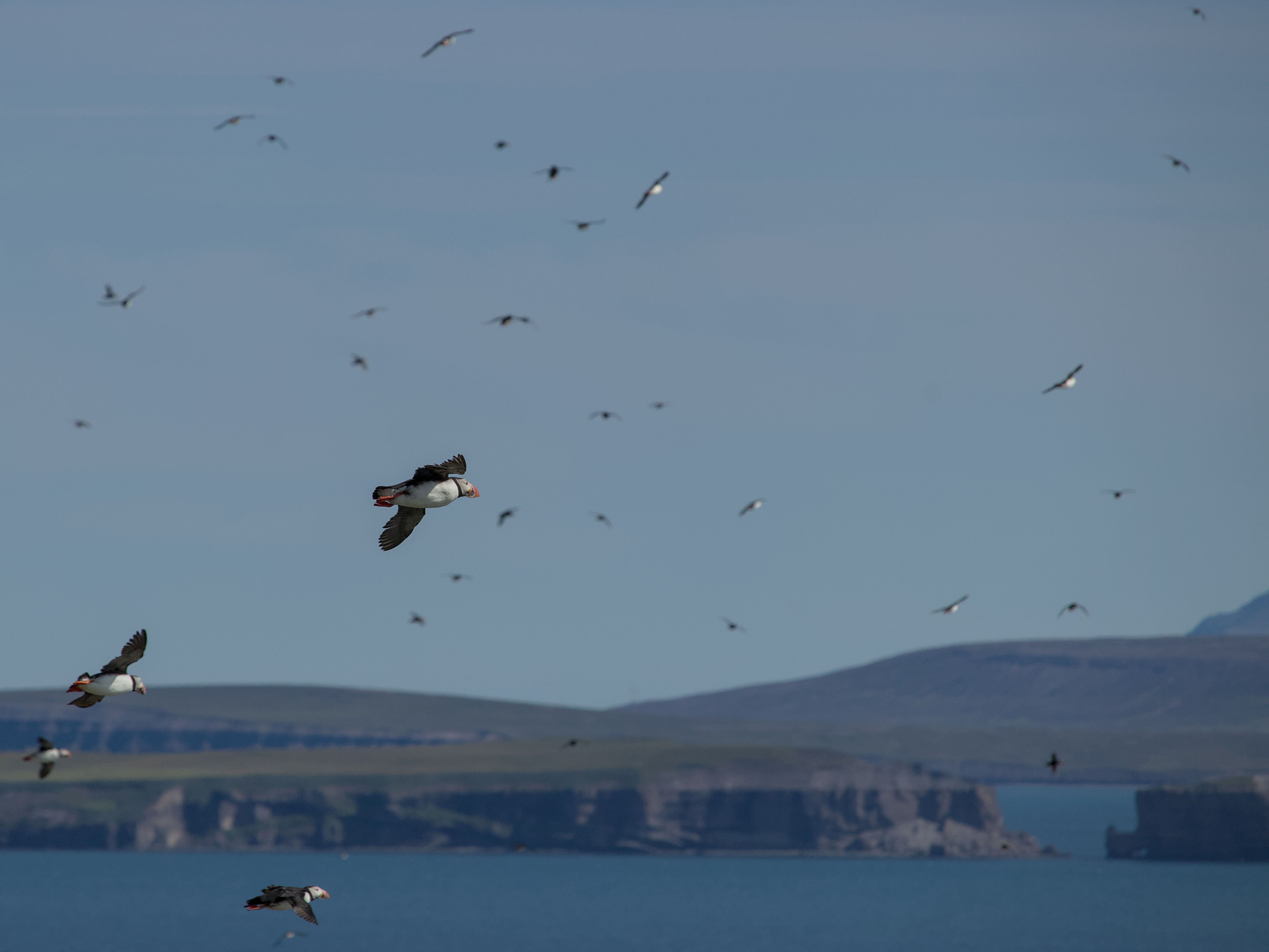 photo 9366eeddd5ebc0d8