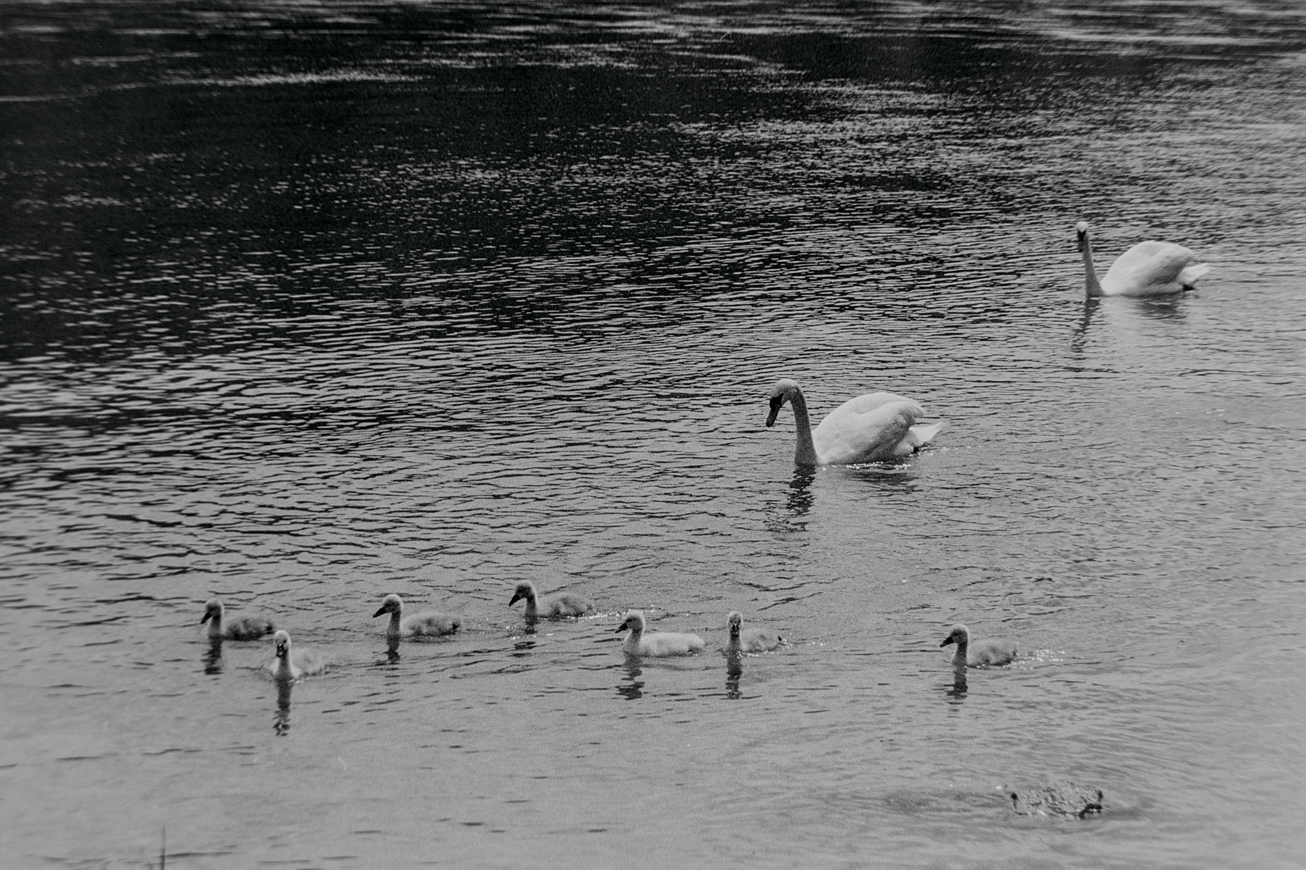 photo 9372670cb9d38be9