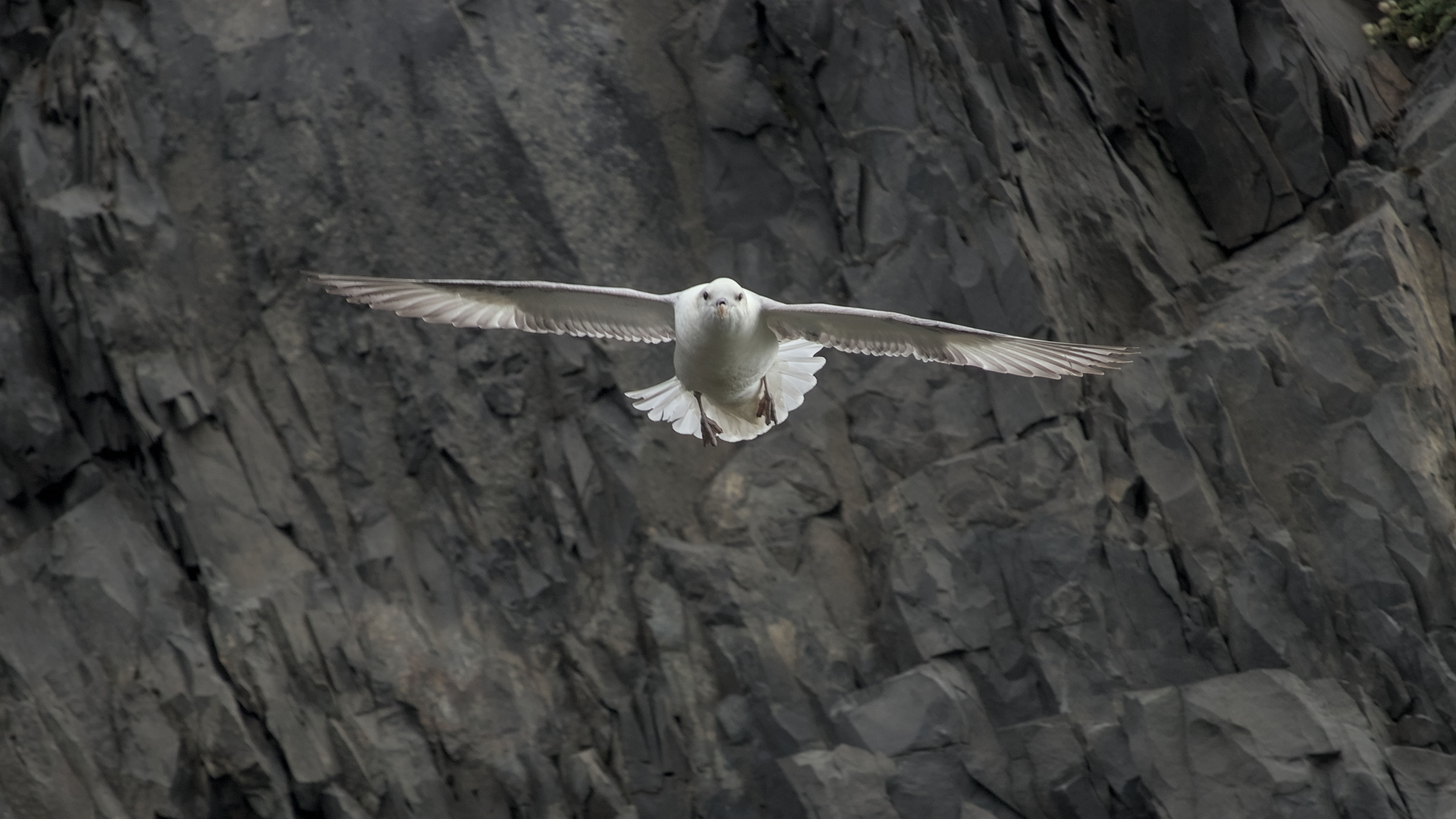 photo 98925d606ef1cc0a