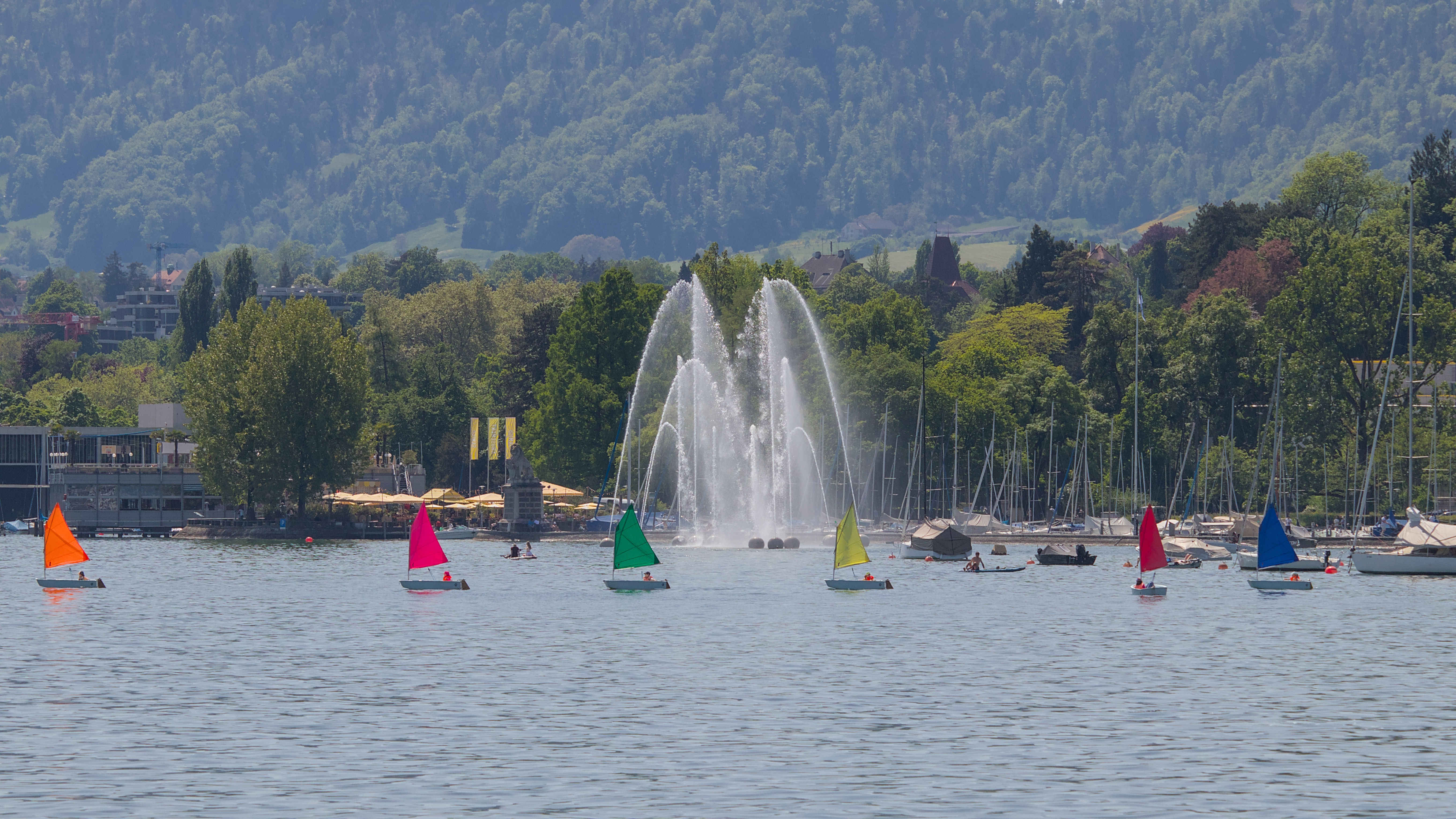 photo 991466c08e7ac7ff