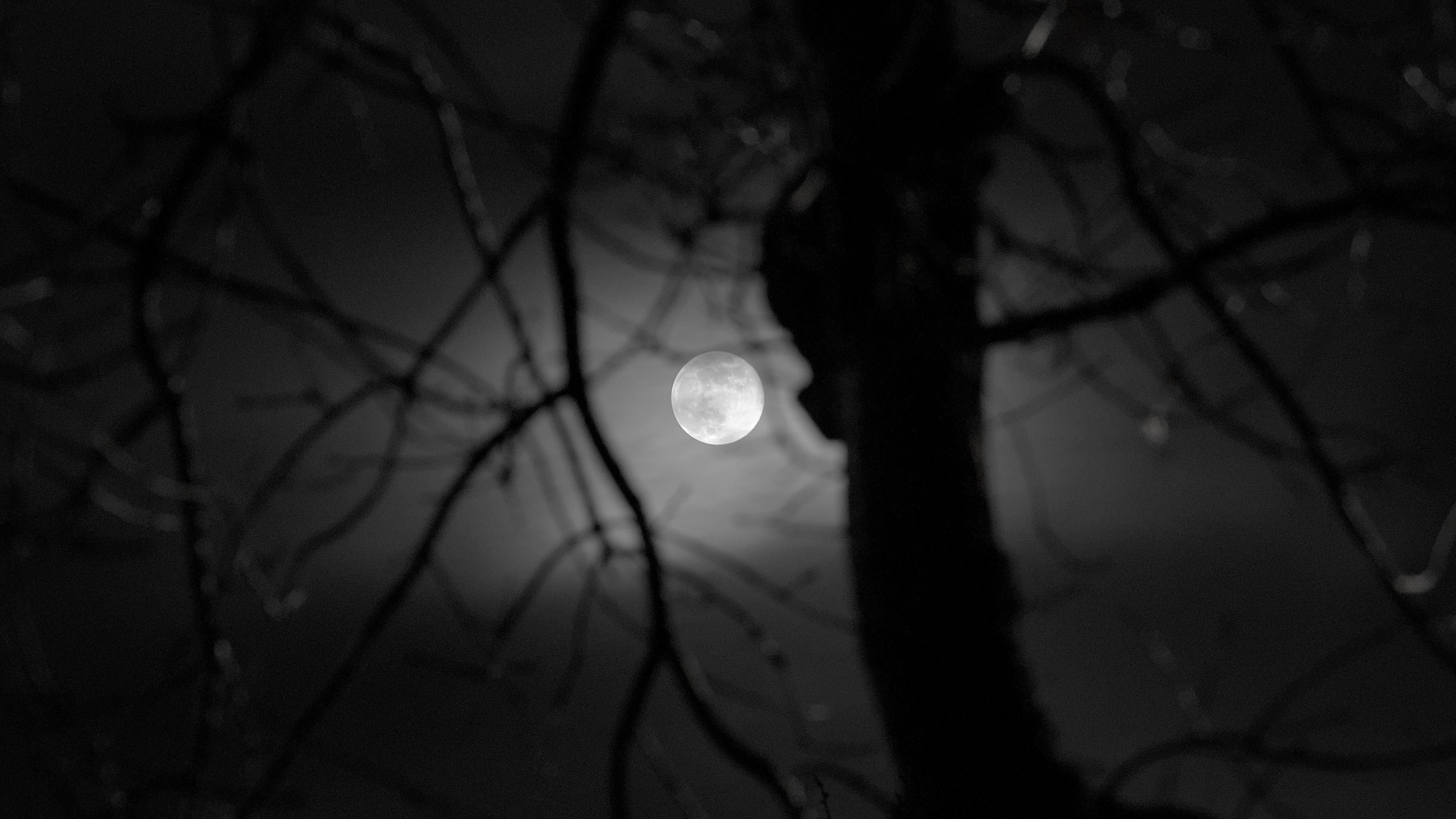 photo 9ab1b3f531a4ea17