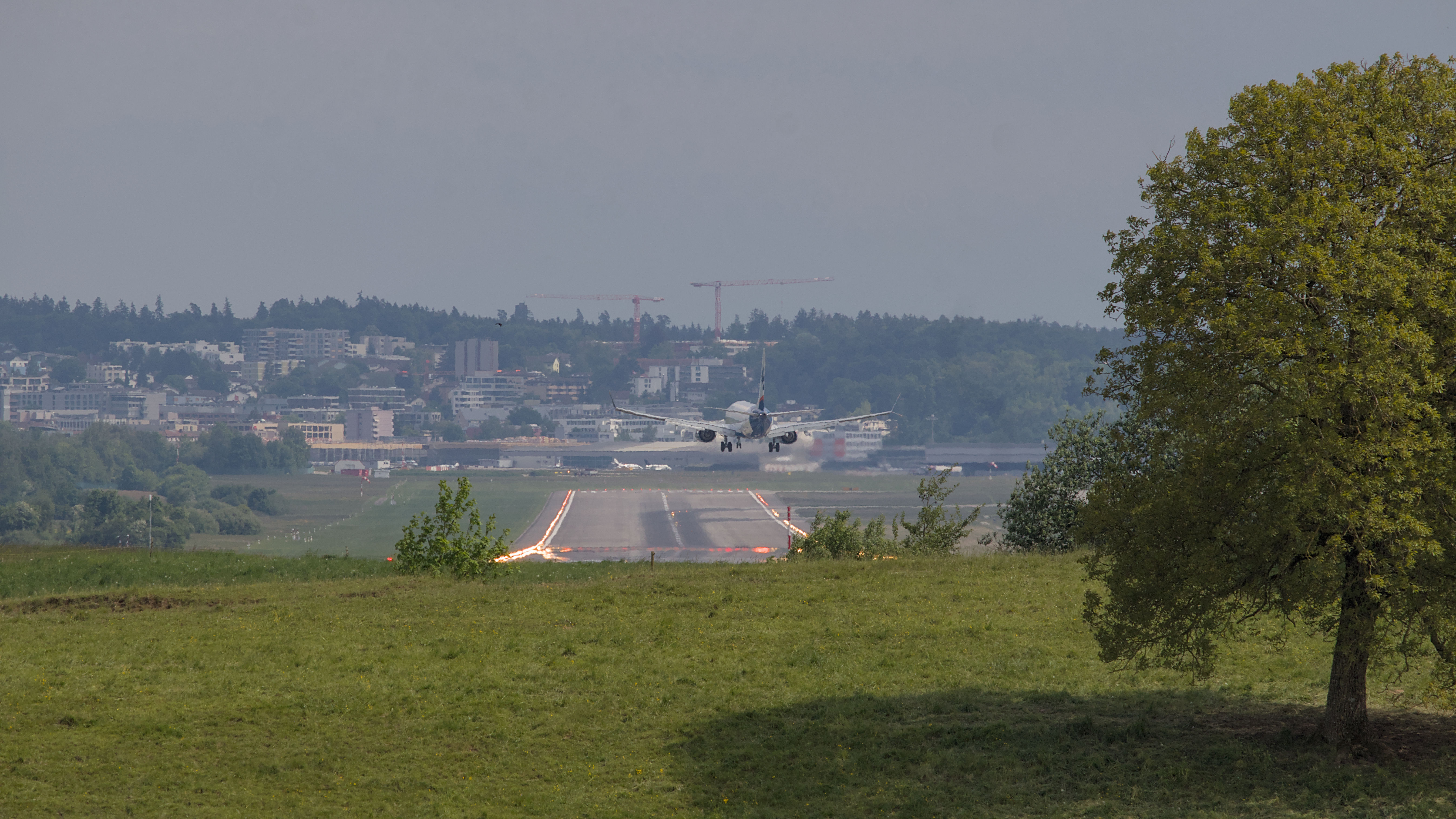 photo 9ea91ed1b526e5e1