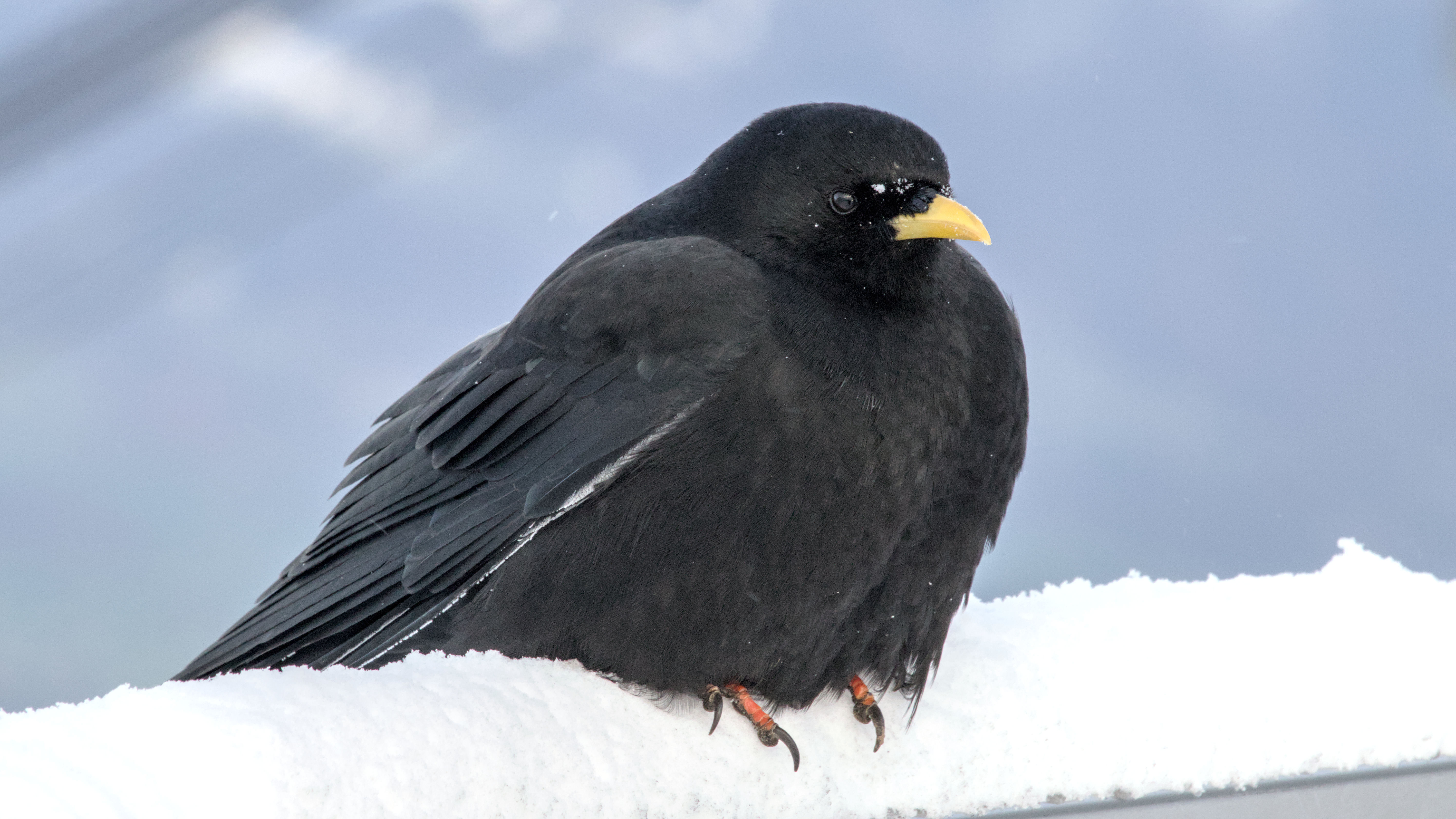 photo 9f248af385b82d12