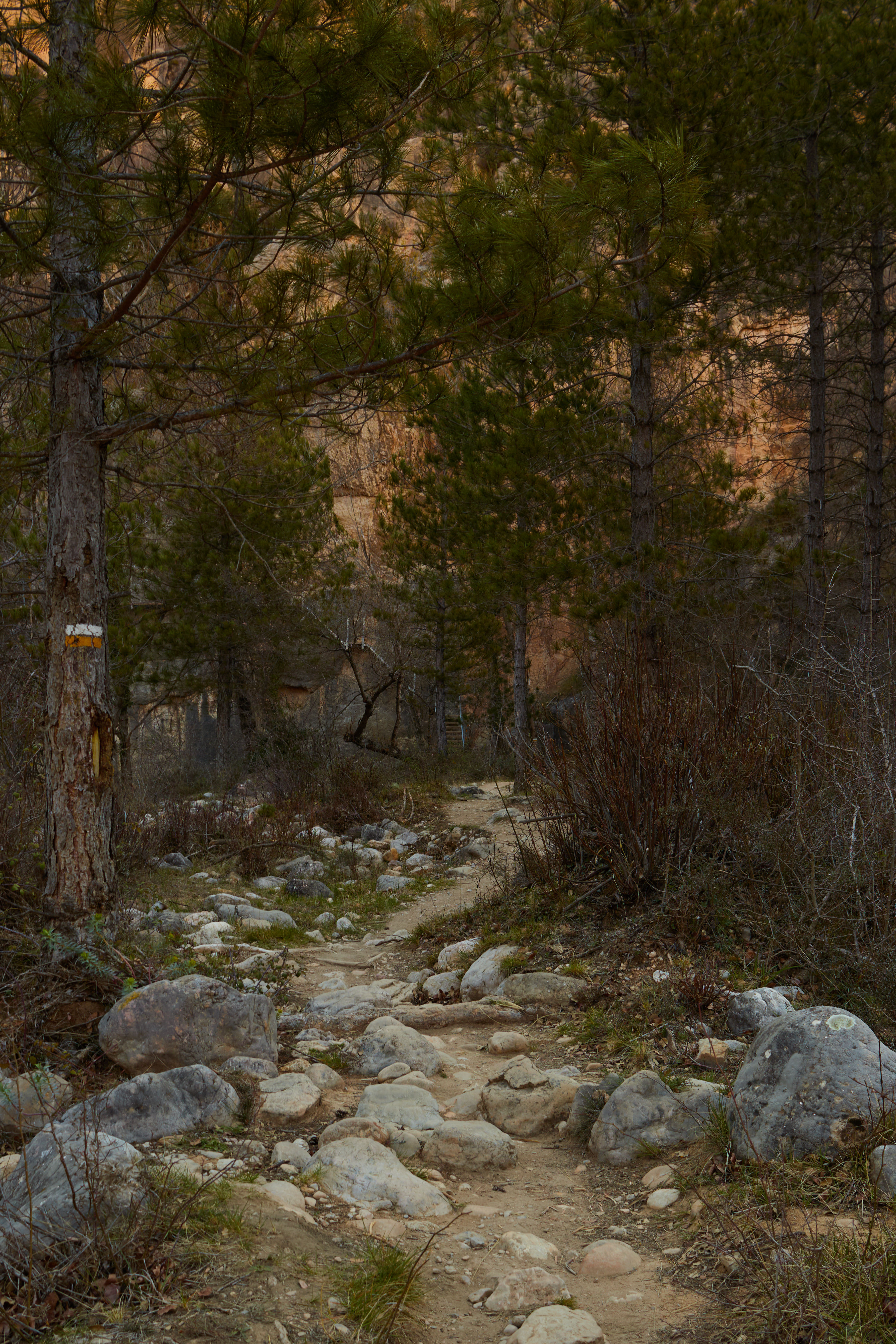 photo a168b21f289e7f6c