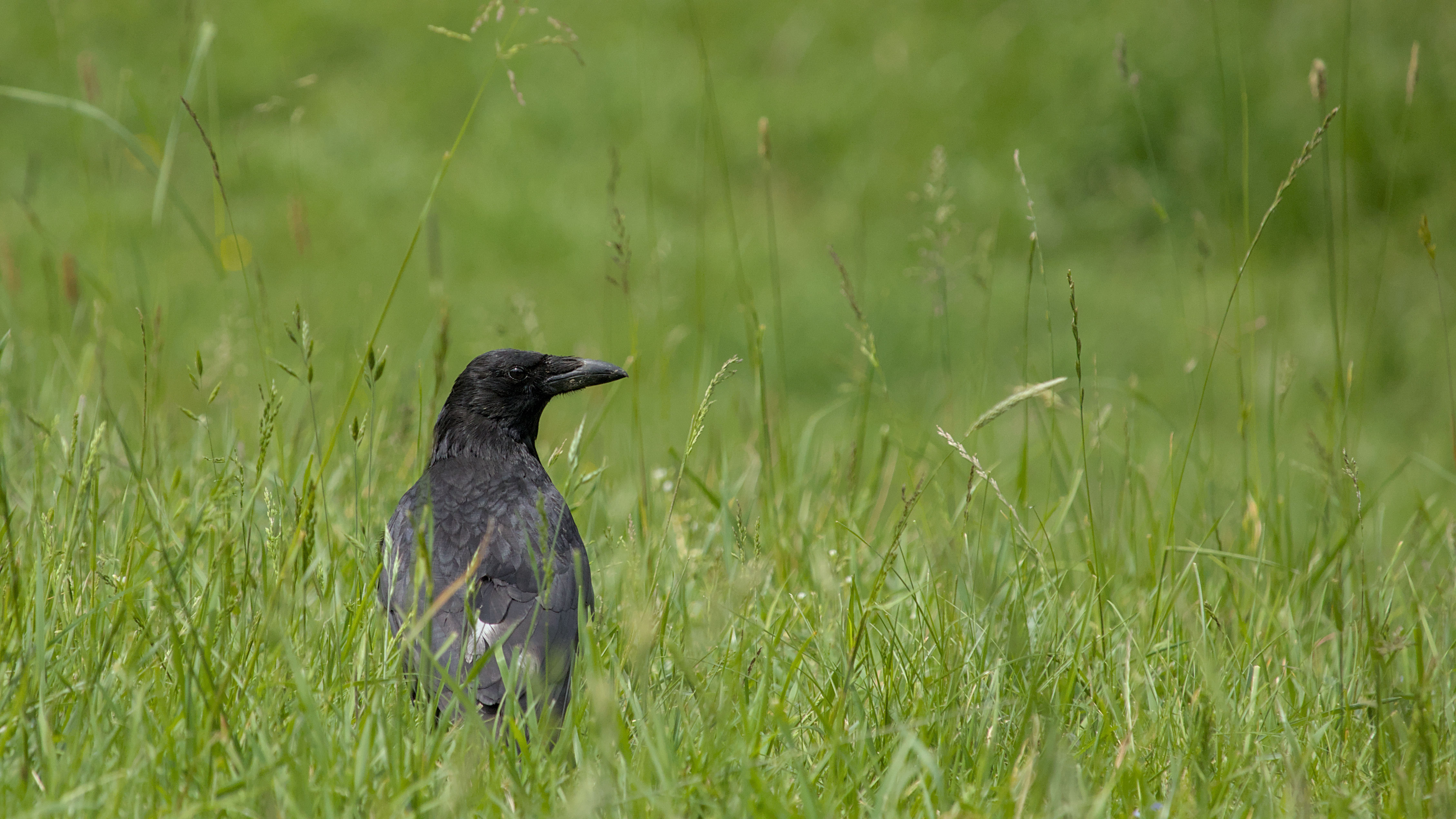 photo a6b134d4f2b2dac4