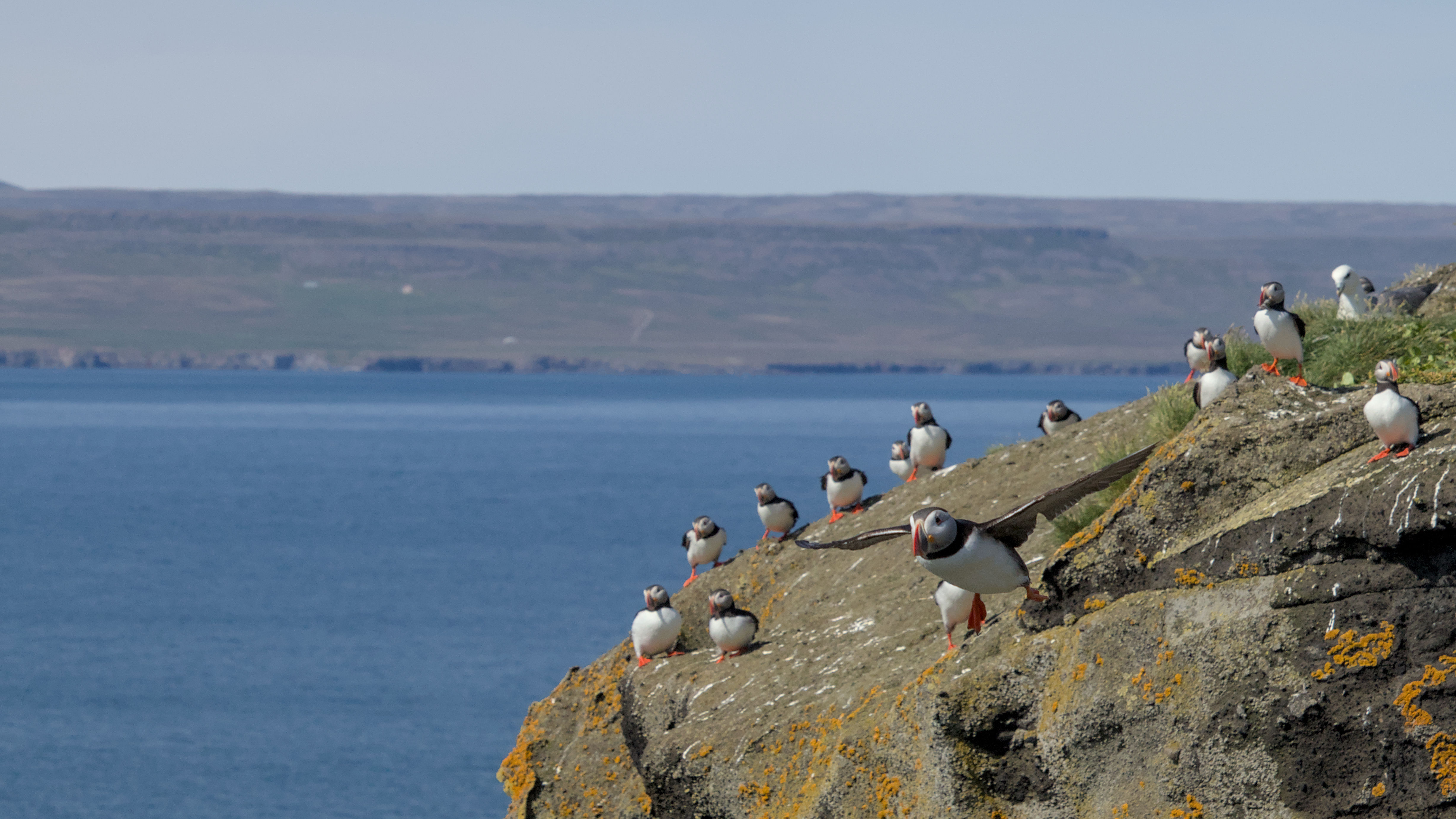 photo a7063b921d9b2e4d