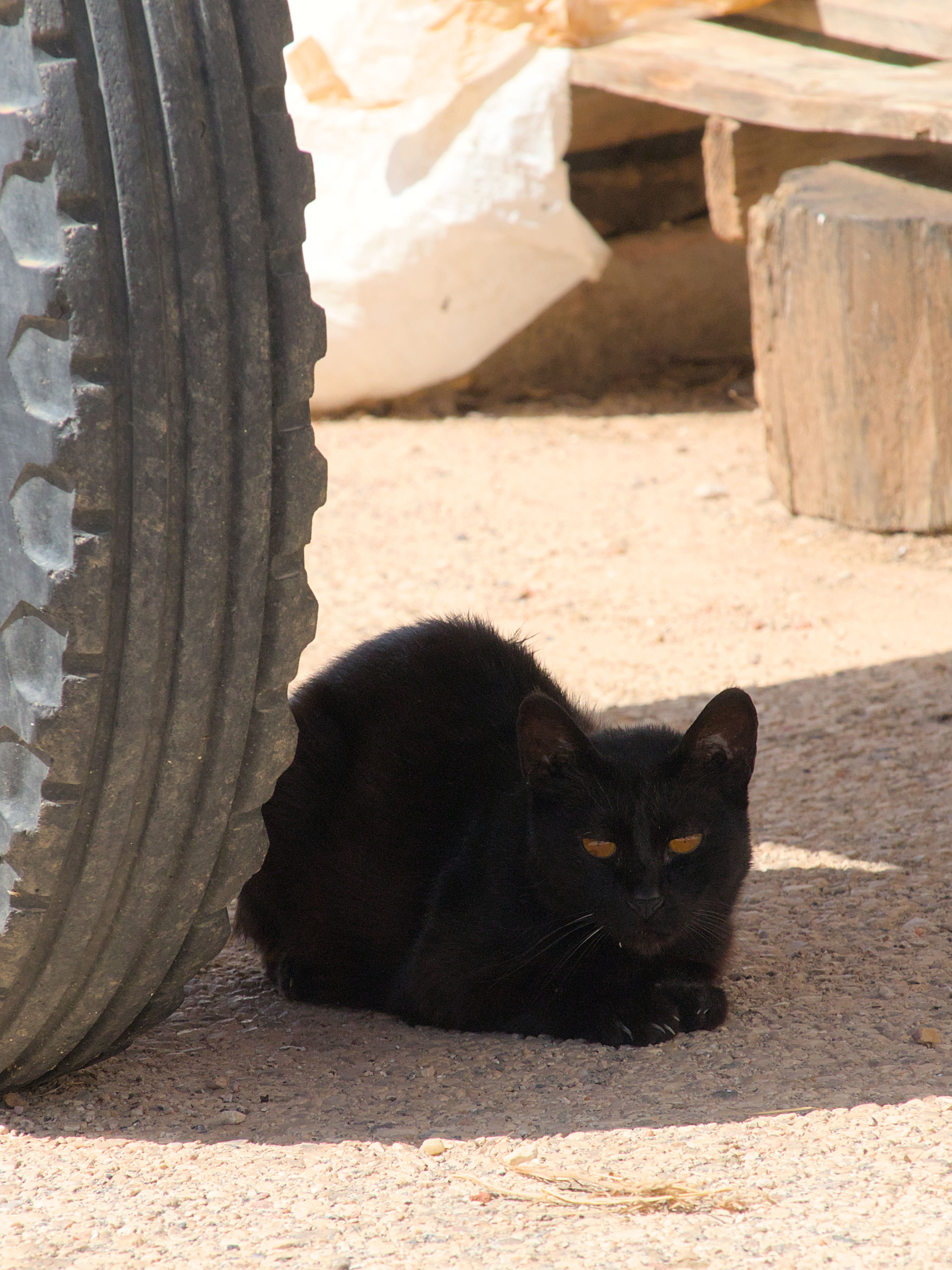 photo a96e8cdec46e9a92