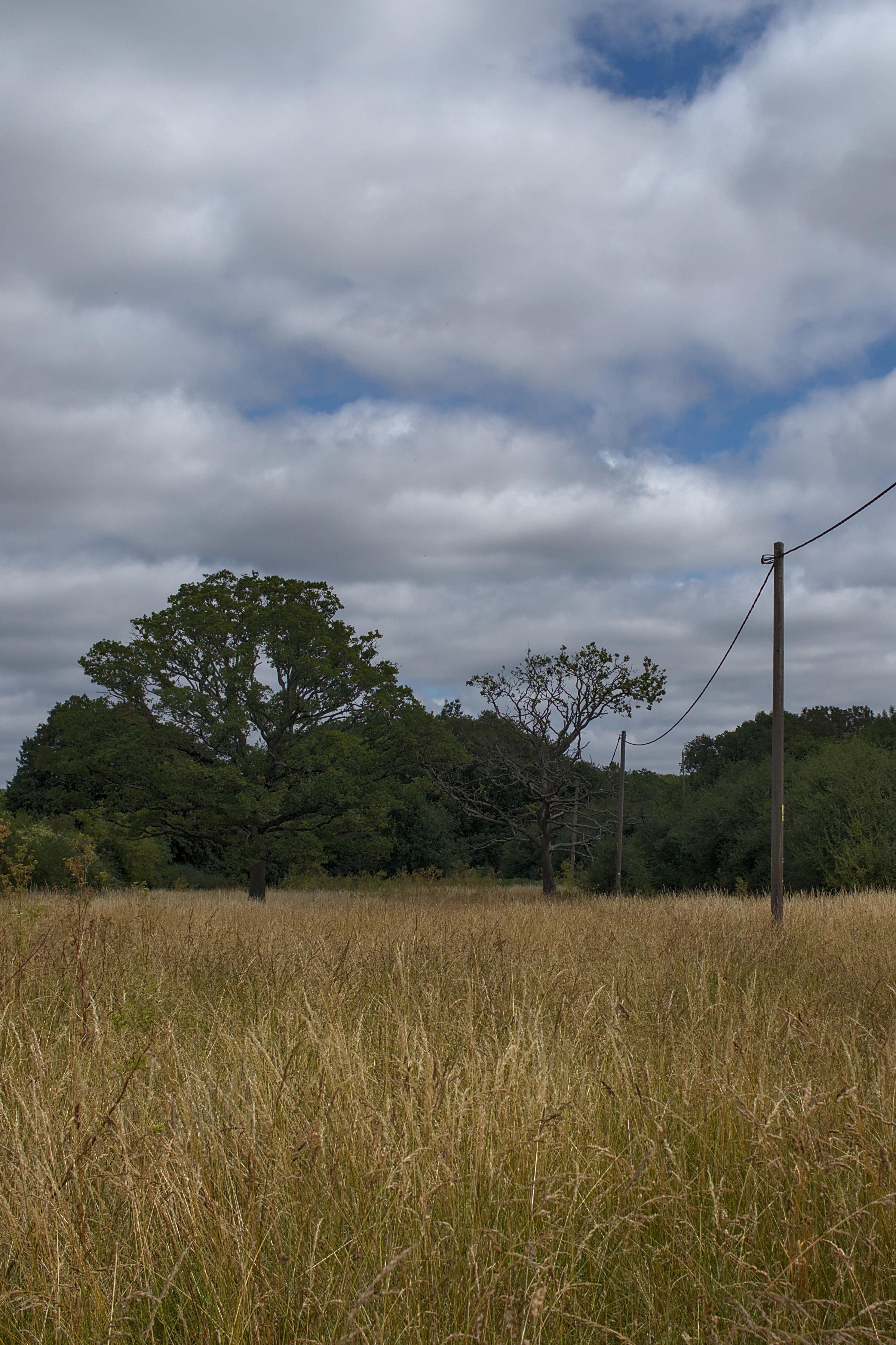 photo ab04d75d3706298e