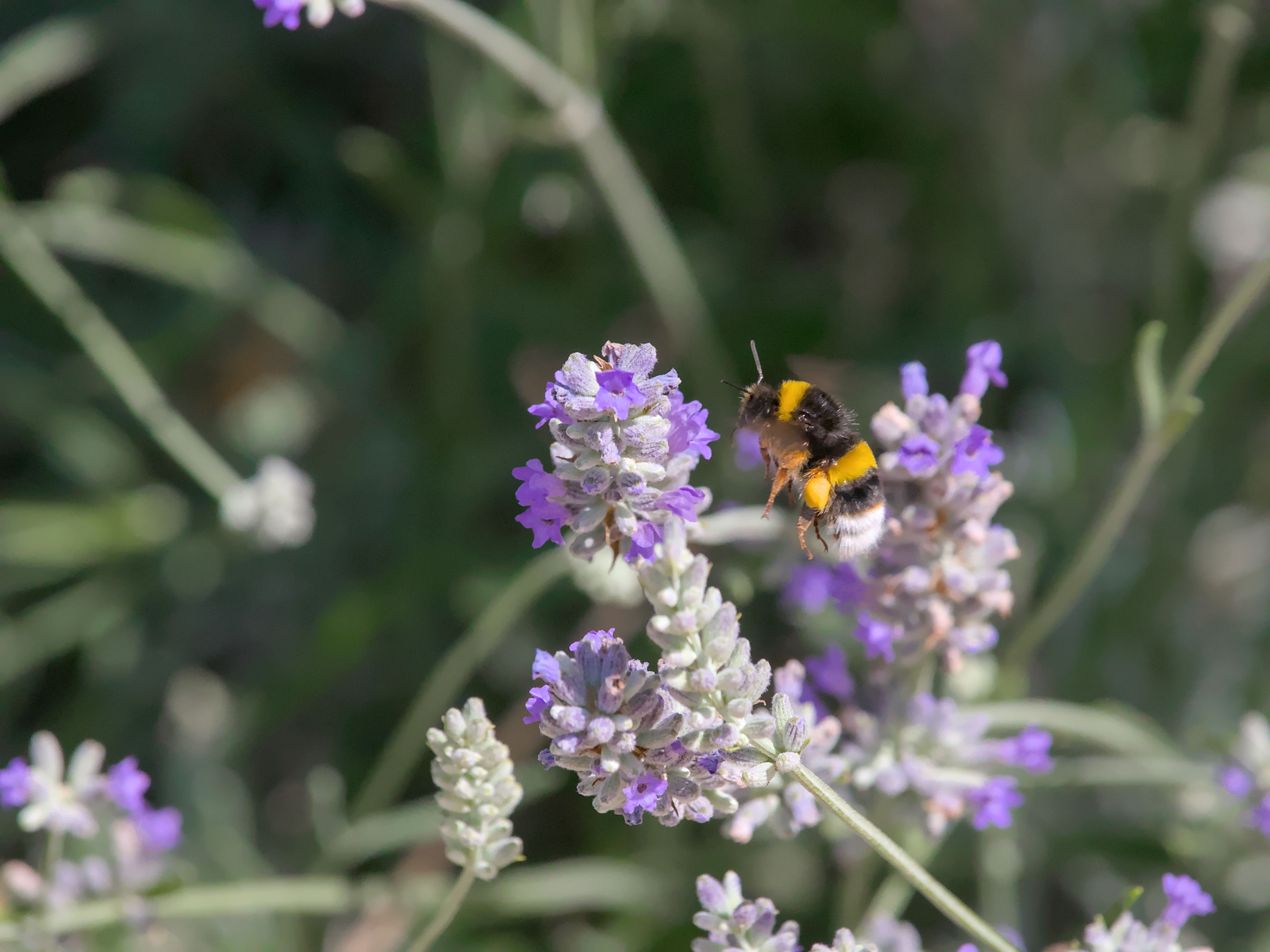 photo ab462e805daf0673