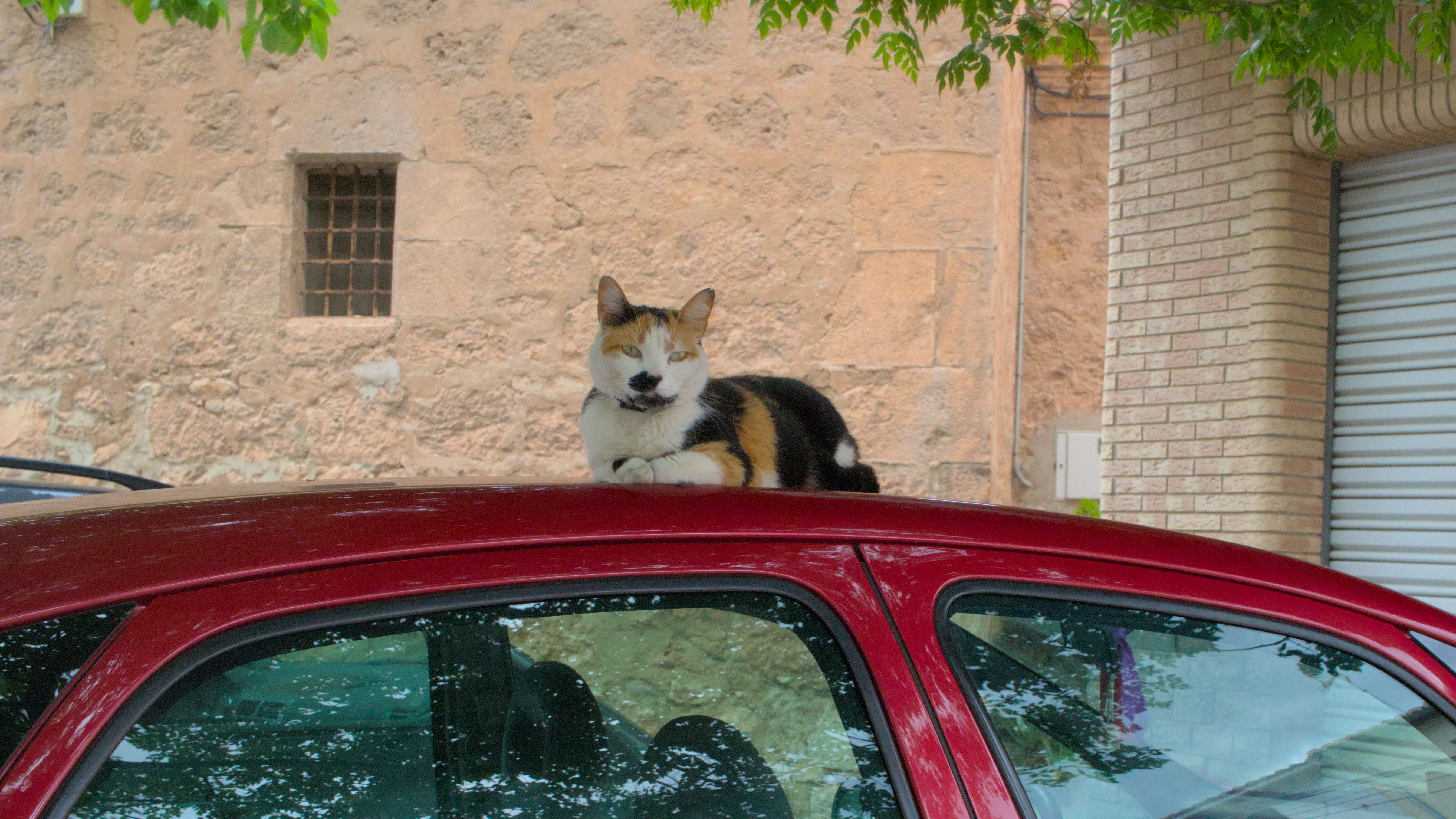 photo b02bfcf4dbd763e7