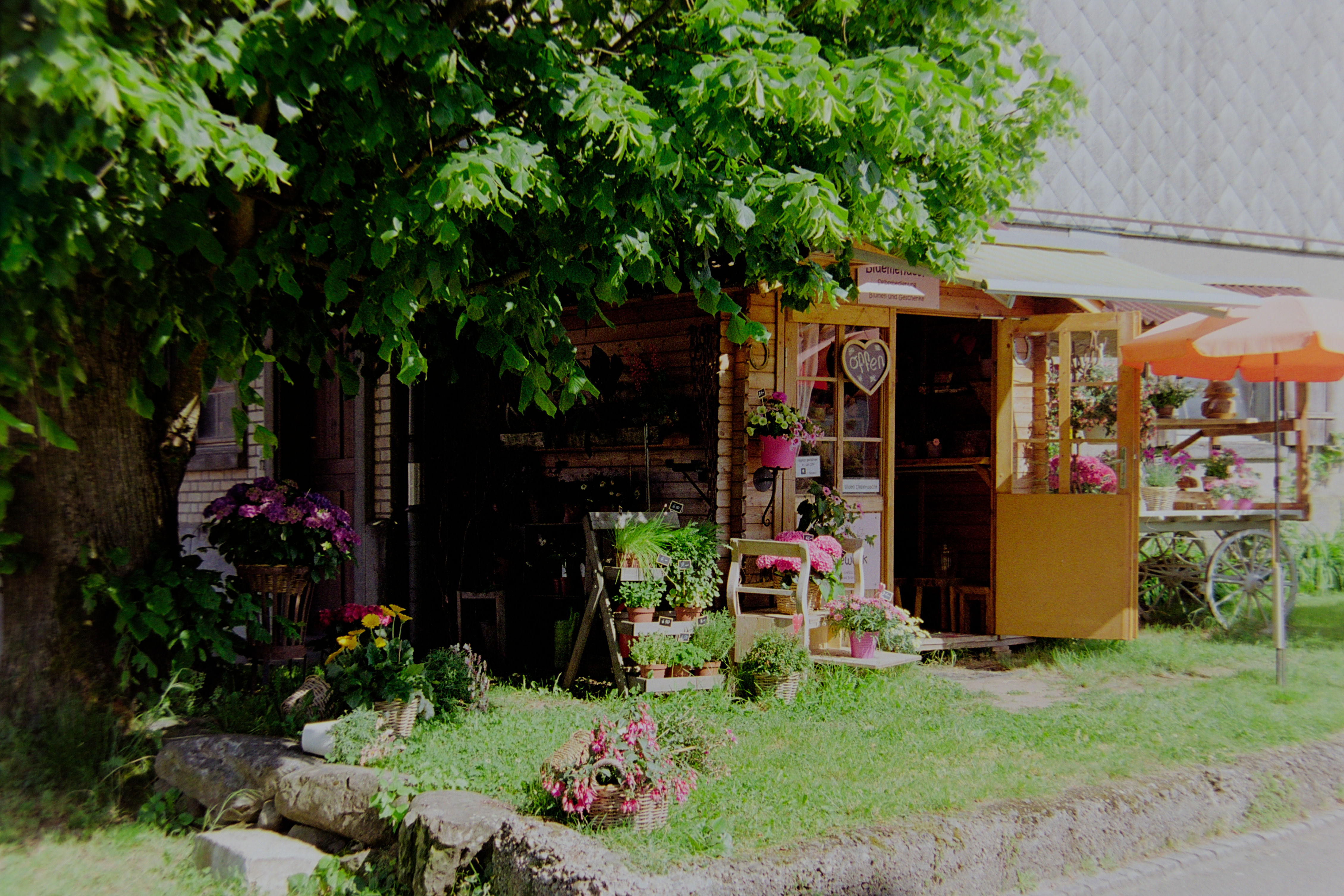 photo b212f858f14139bb