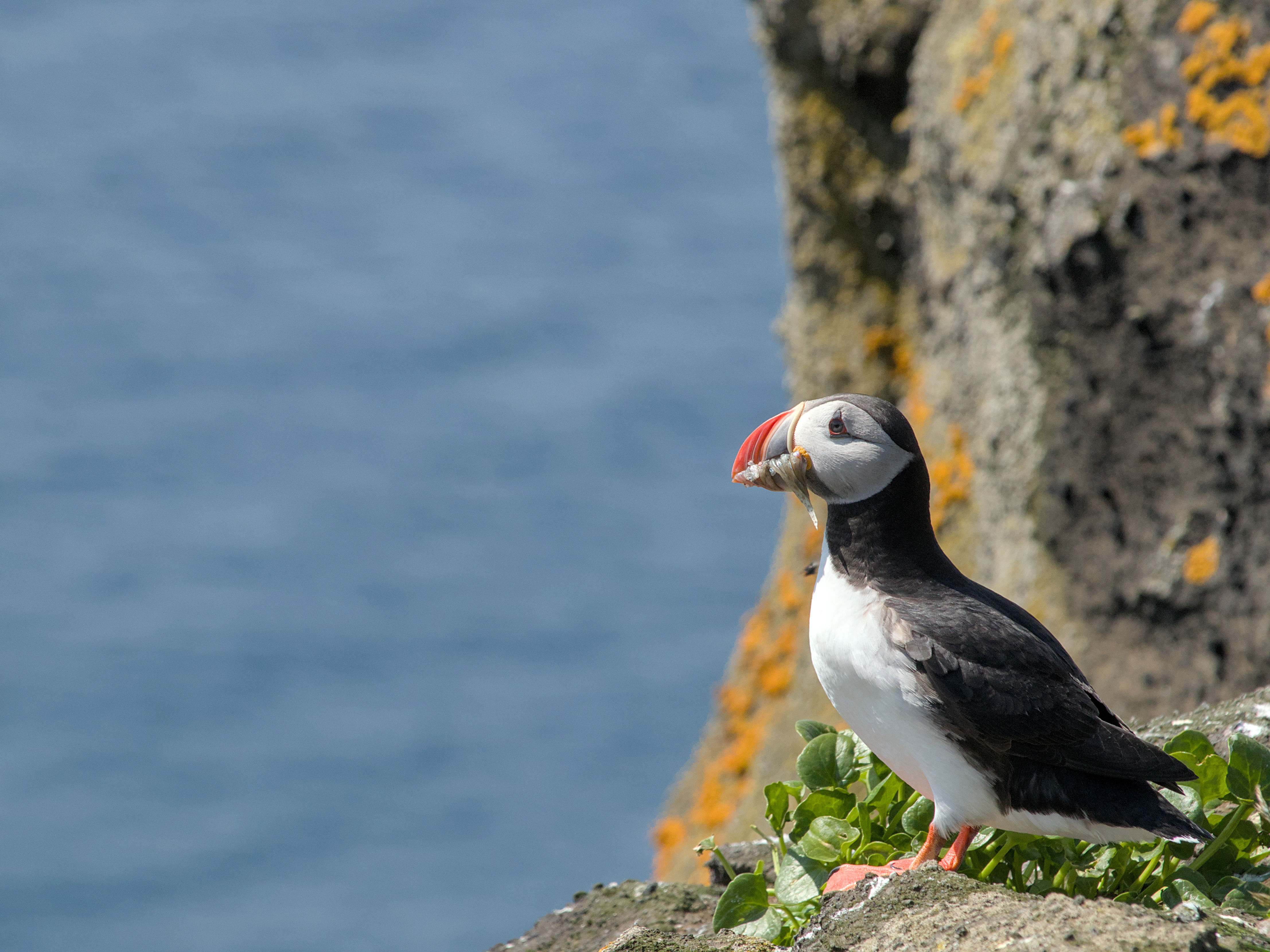 photo b2c93ec2df04a904