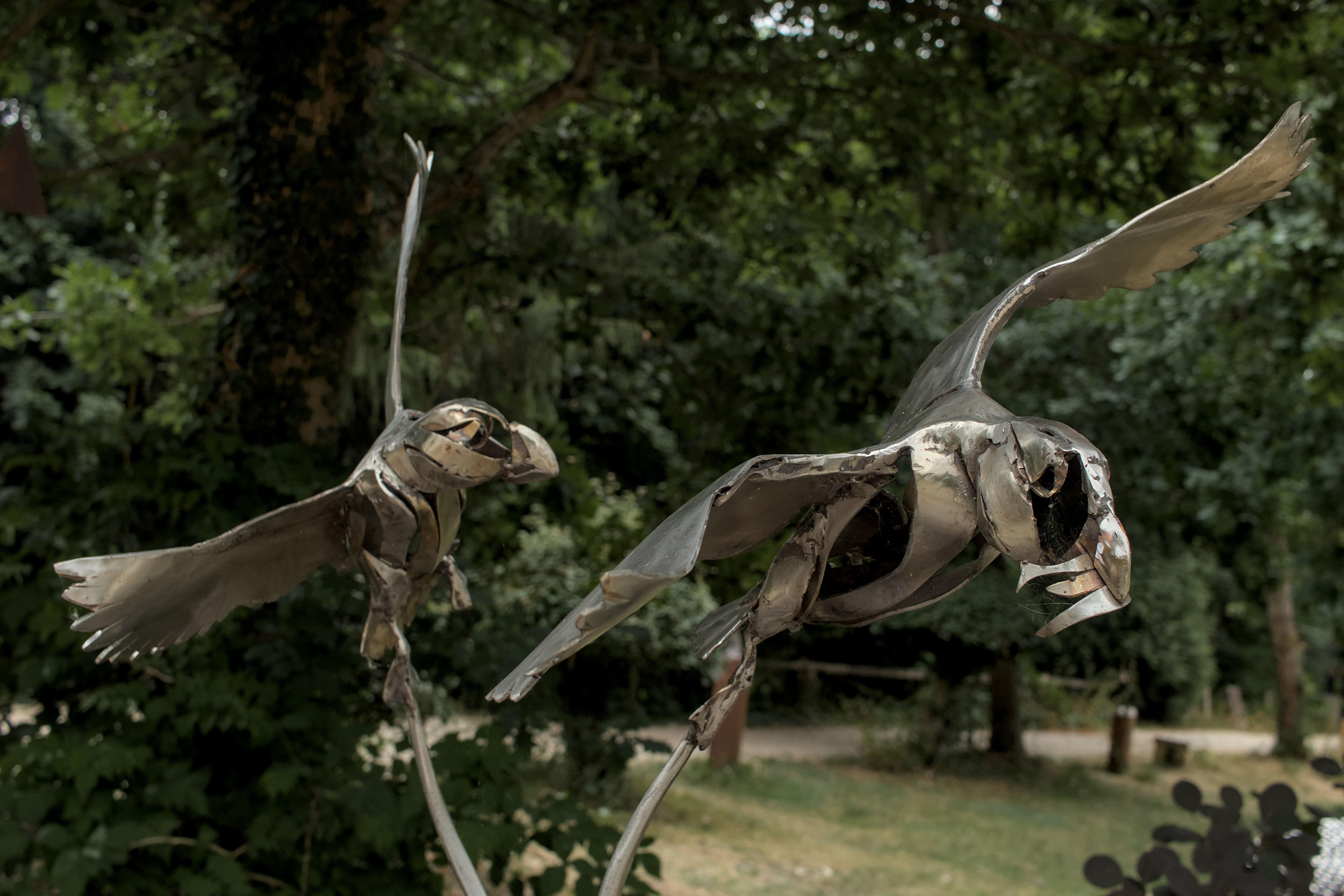 photo b4eab1cd5bca66f8