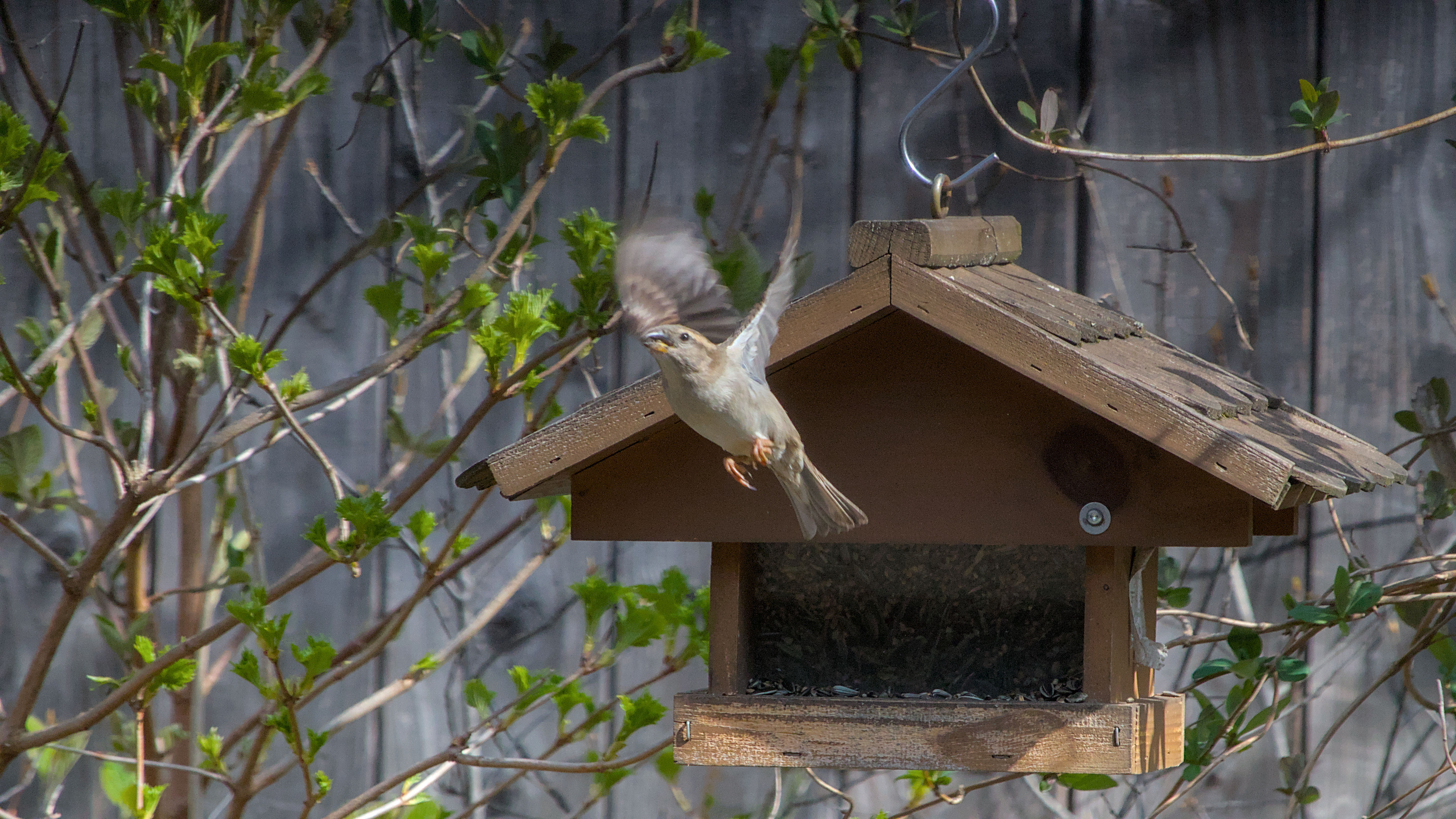 photo b6fc4b1f3ec56b31