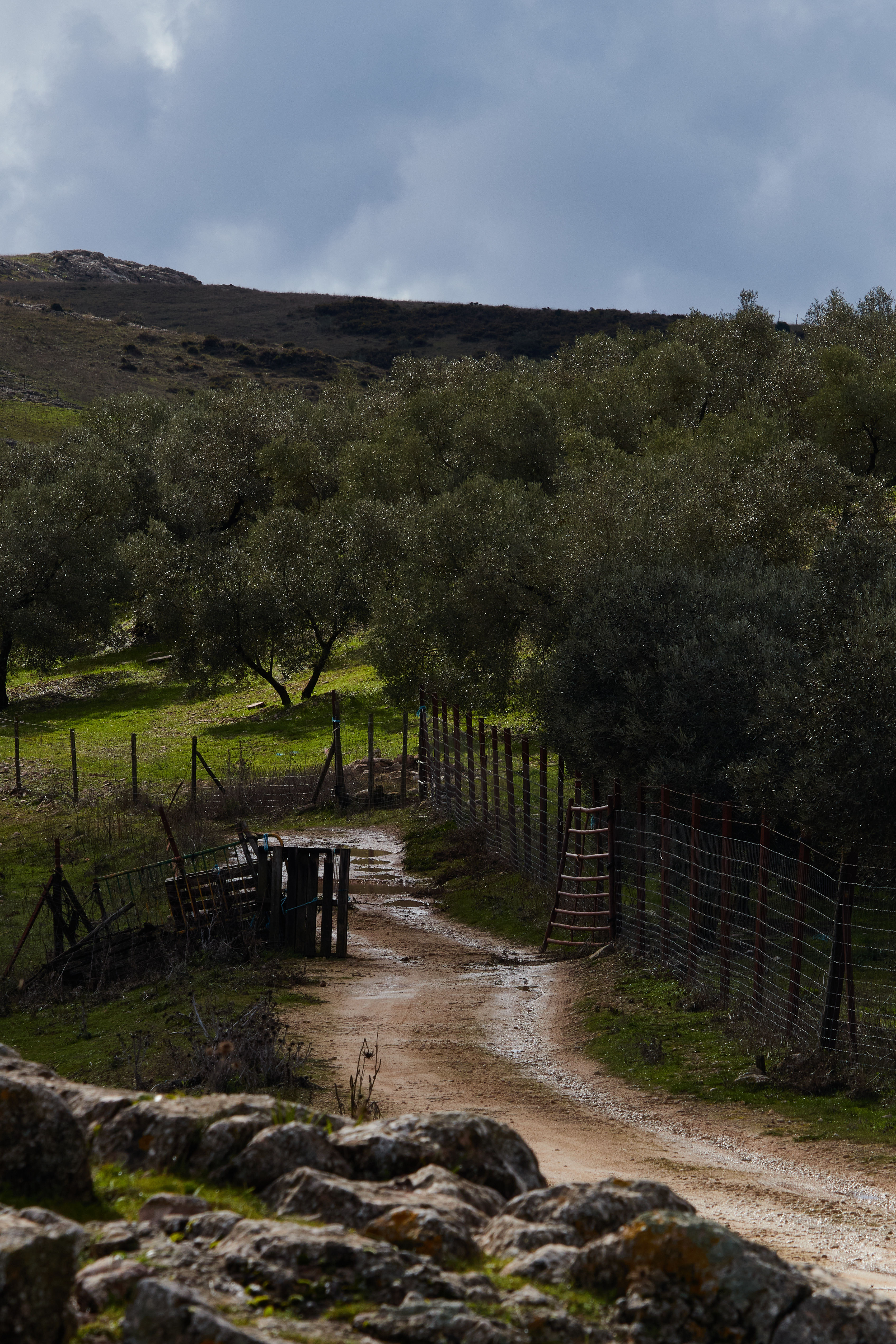 photo bb9e4c28a0ebe638