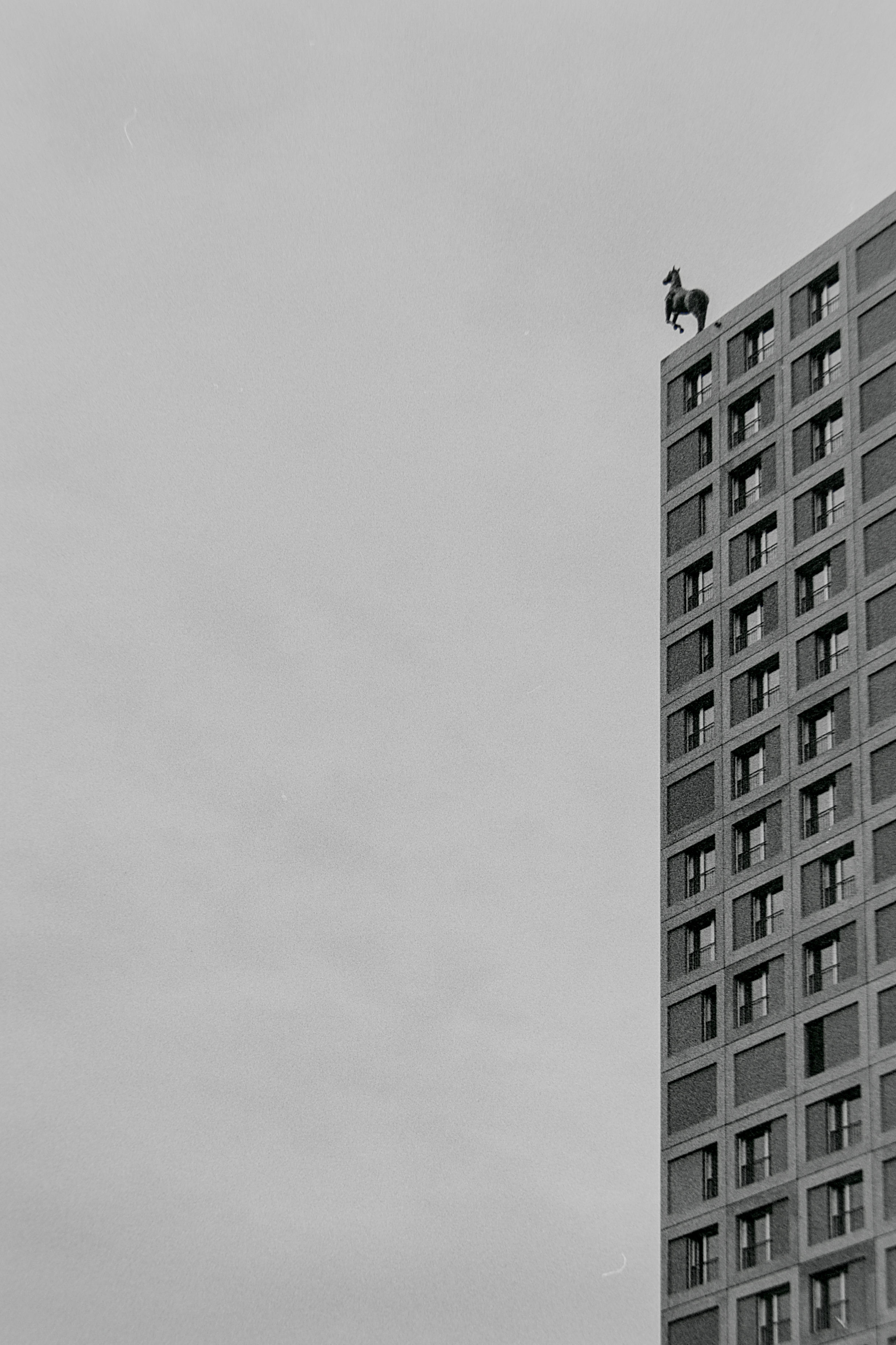 photo beece73fba05e659