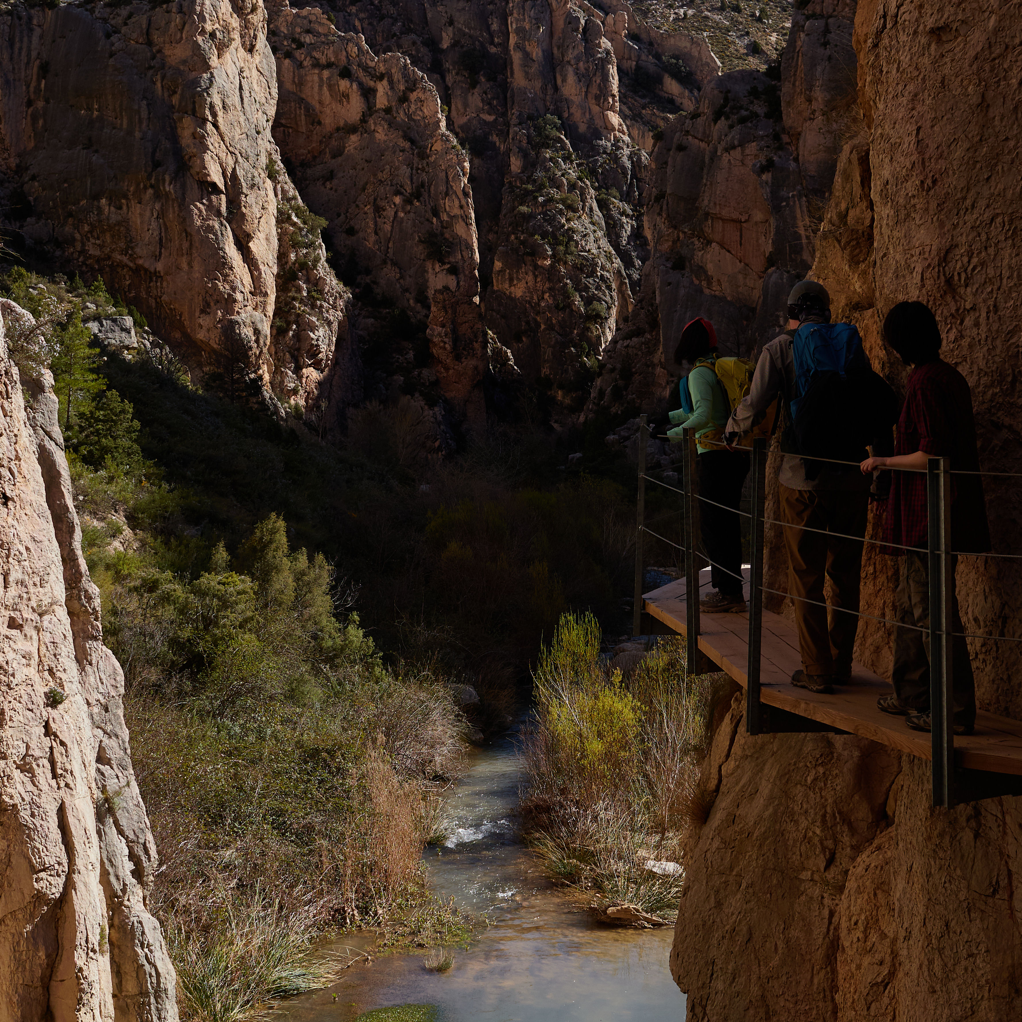 photo bfe4f7d81e02c9c2