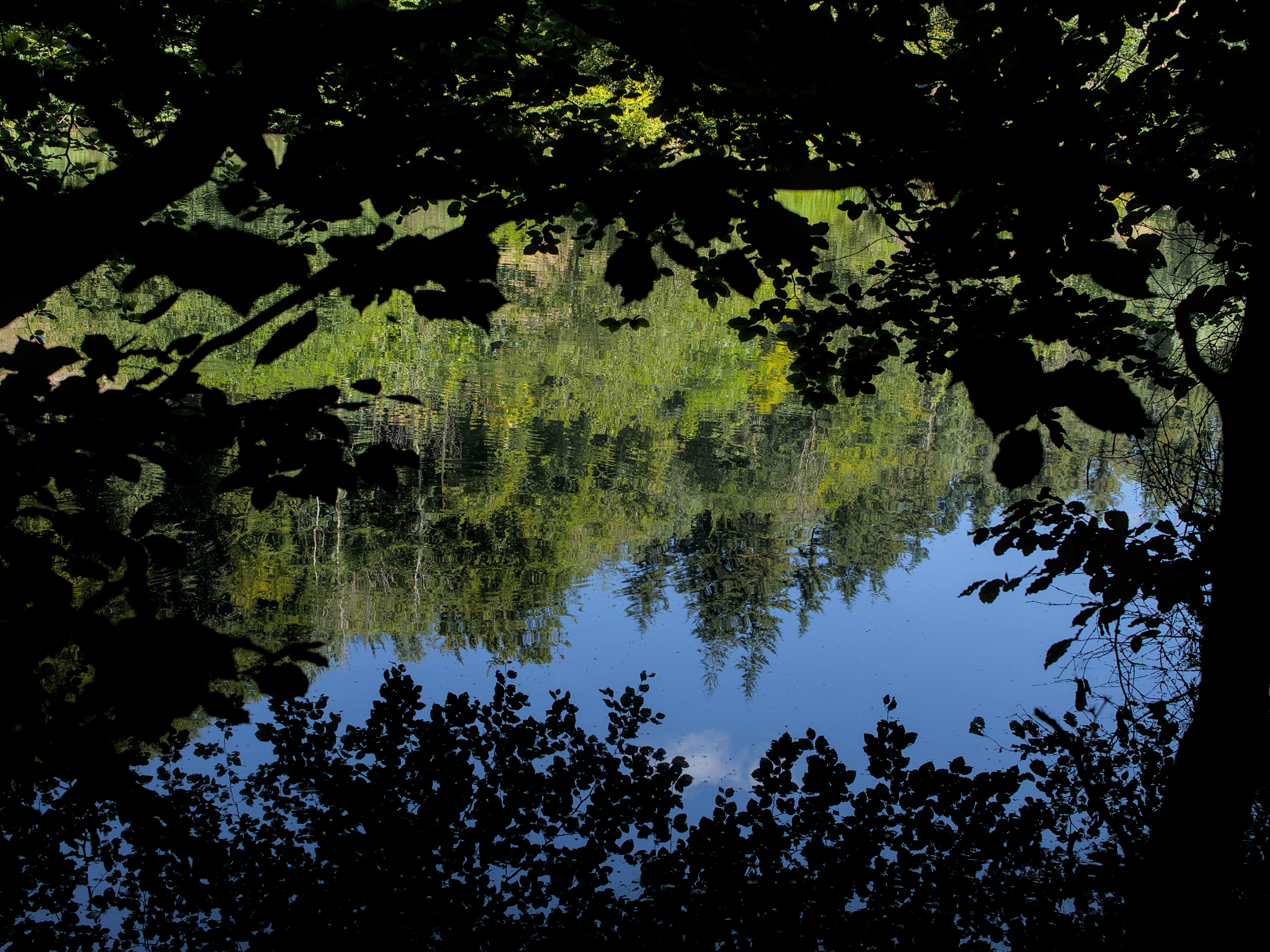 photo cc367f3a78d06b92