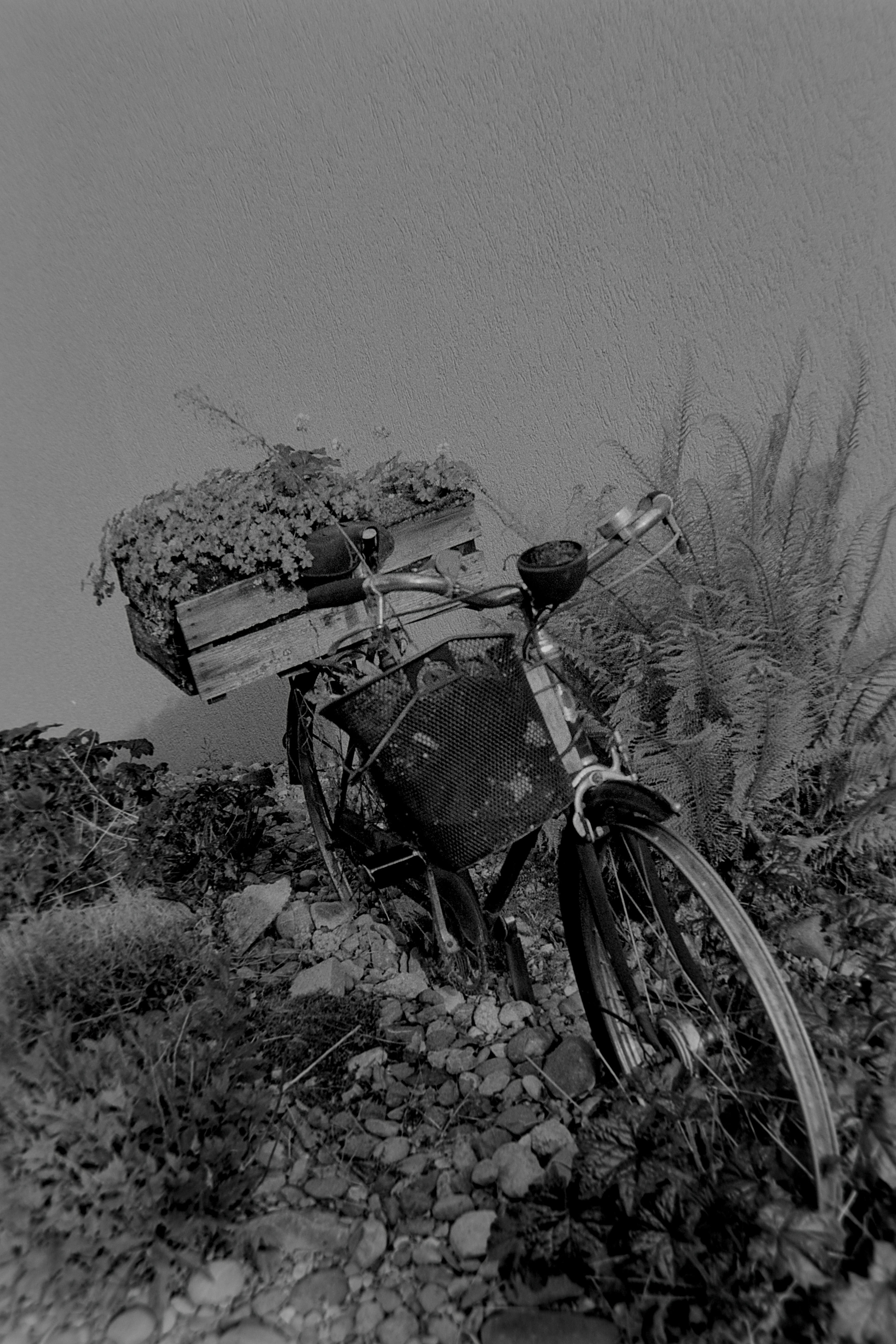 photo ce1e6e1e054b1fbc