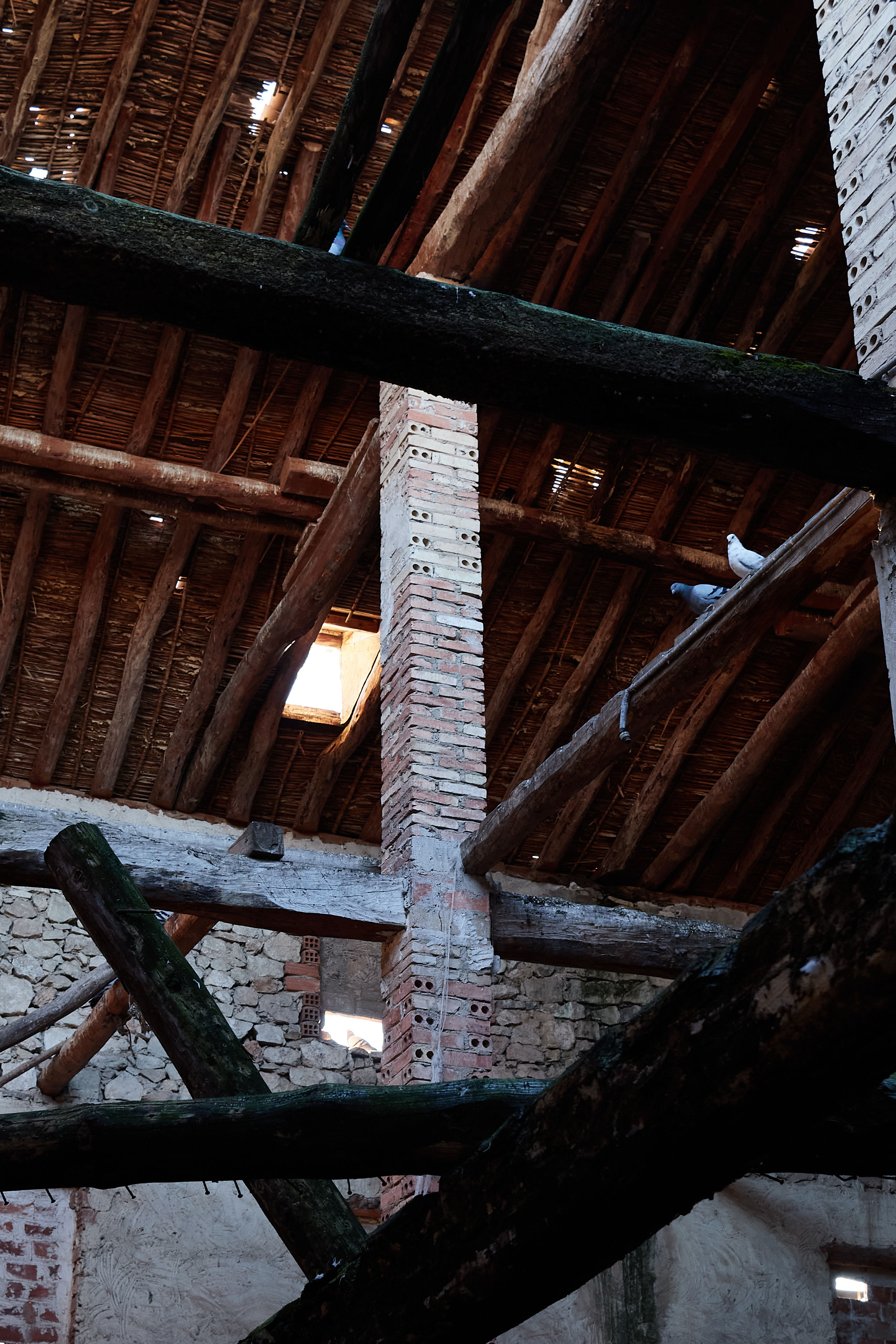 photo cfc536ef1cc293de