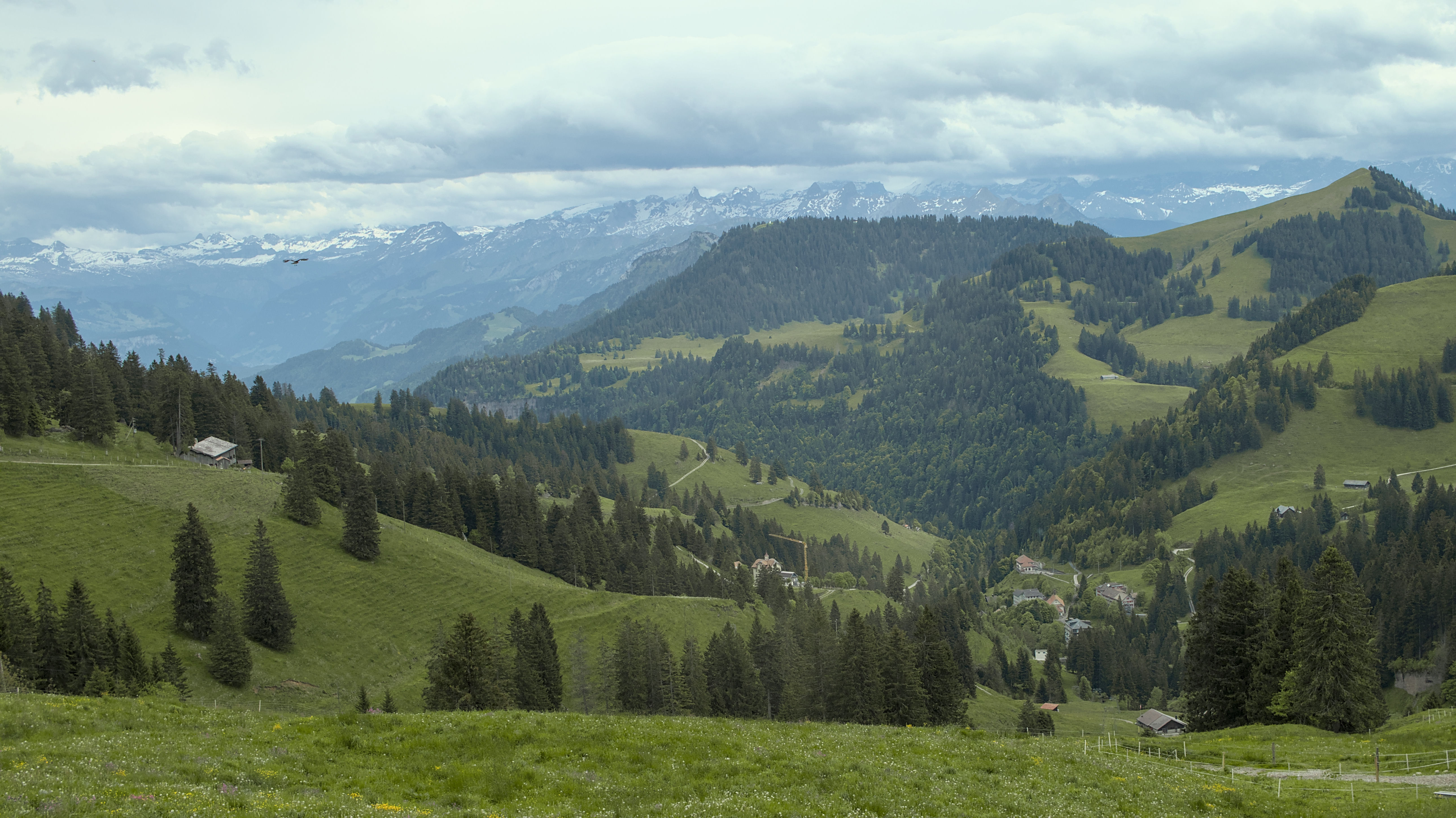 photo d12d3d1ce74768b6