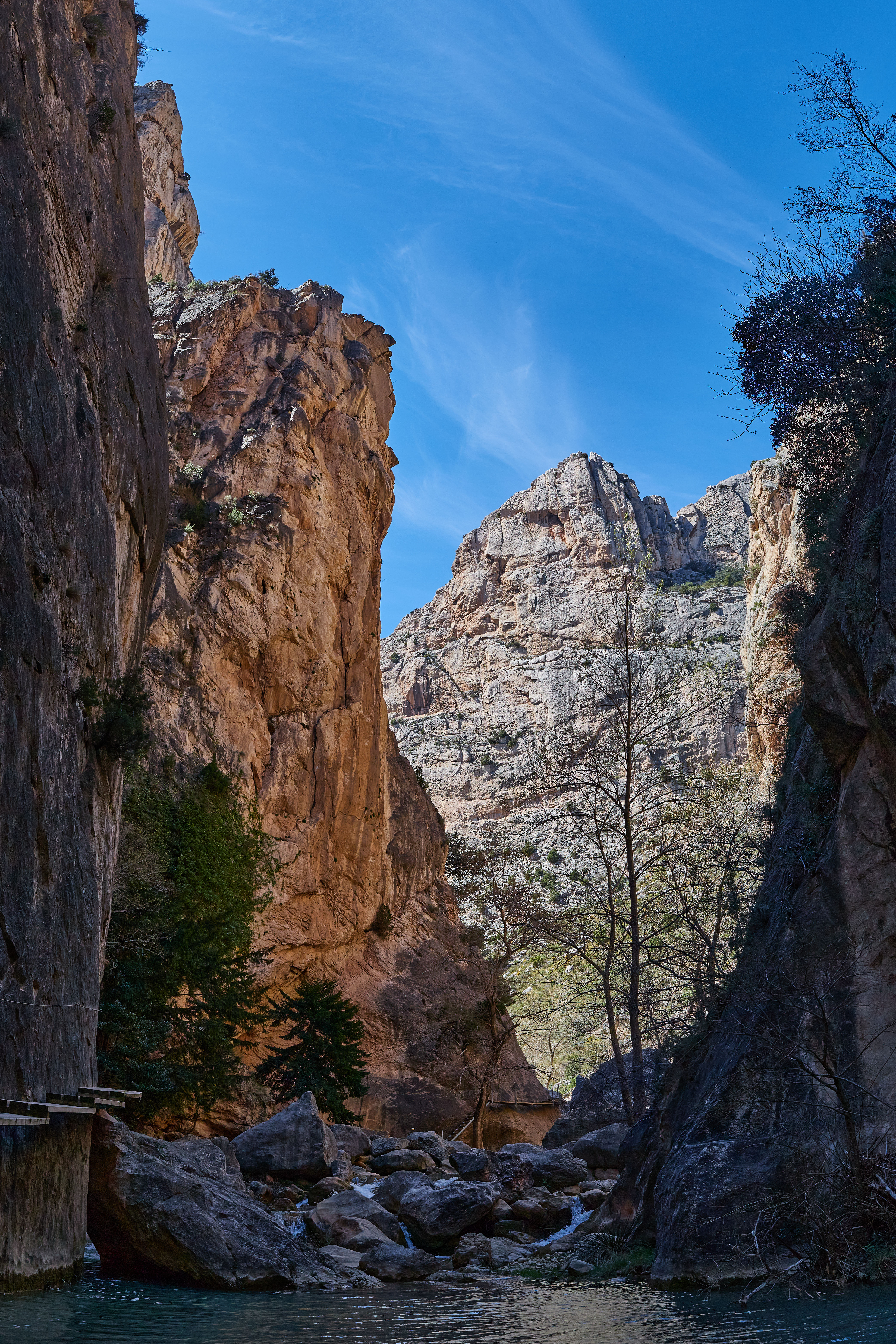 photo d1b1ac9f0be619a1