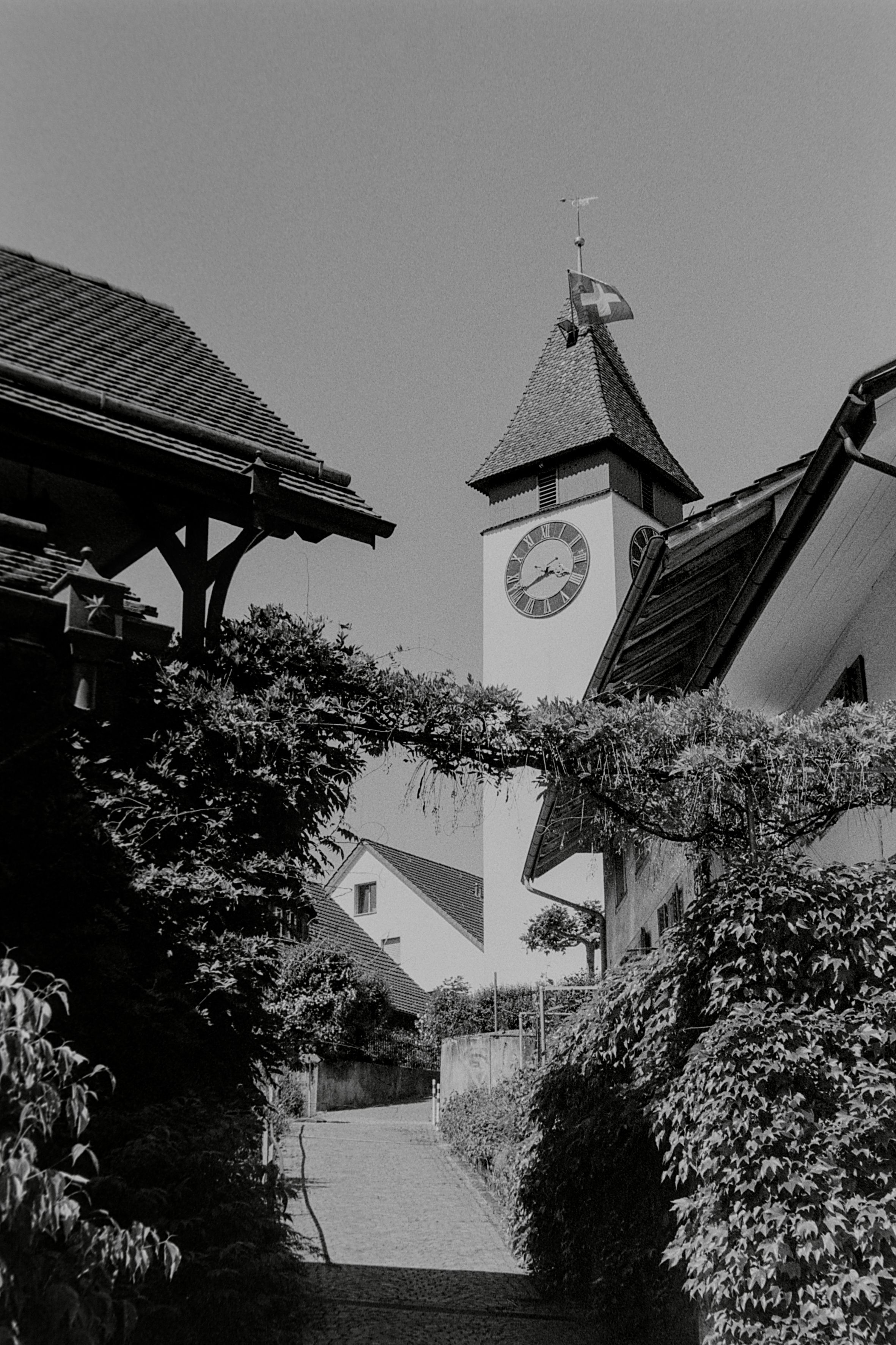 photo d3eed004305e814f