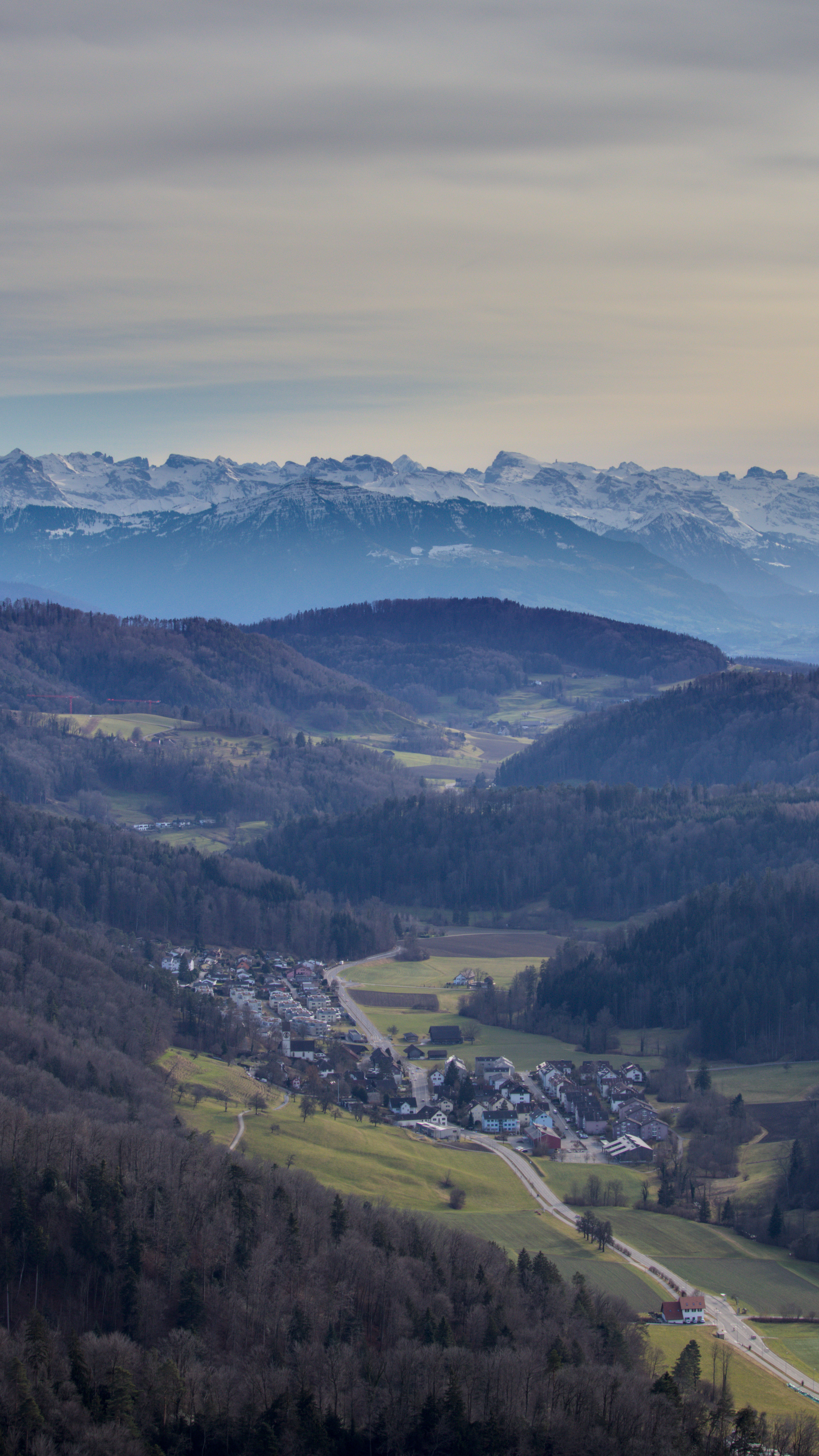 photo d736b3f0b294ab7b