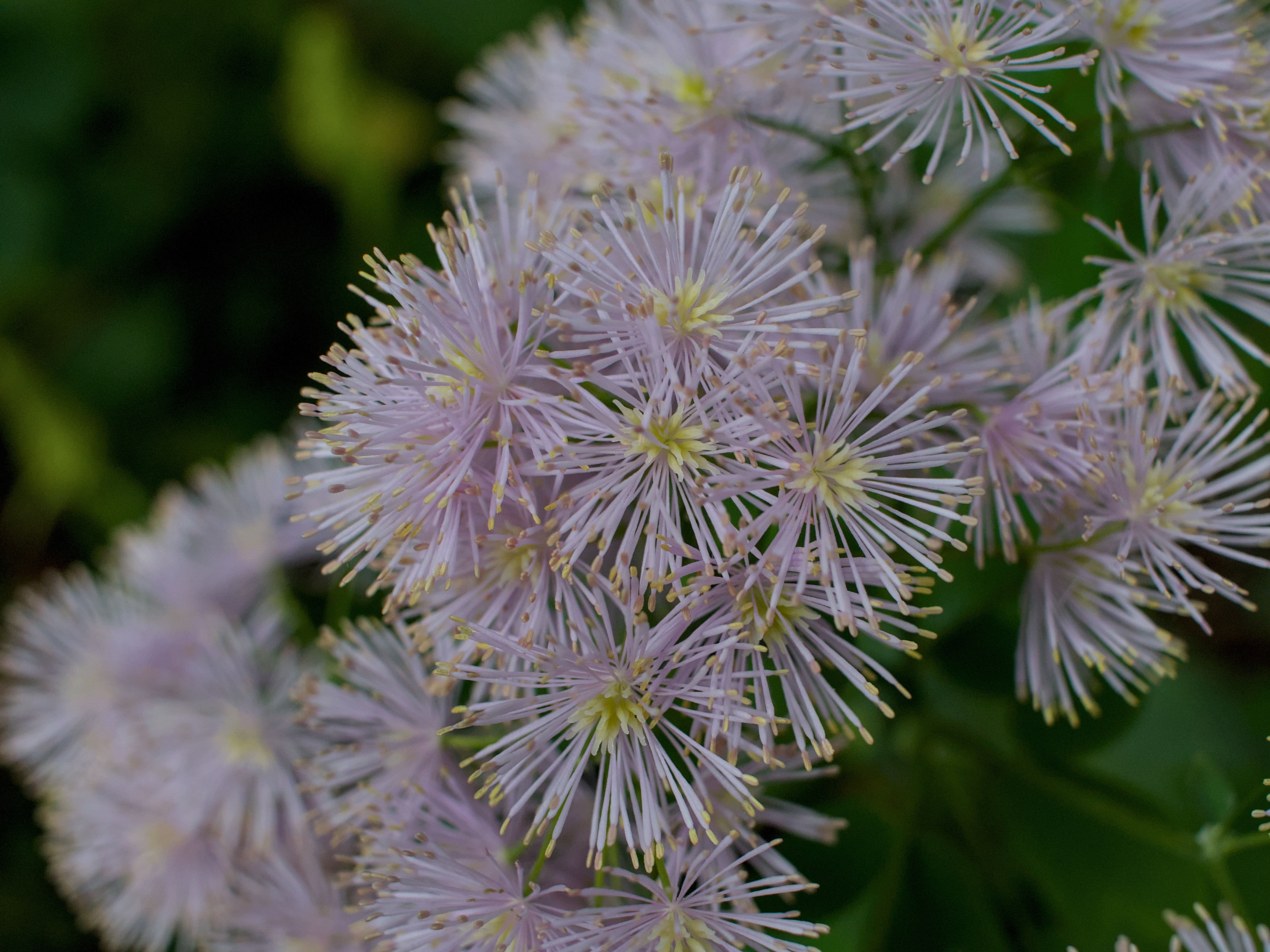 photo df58a4b76f580110