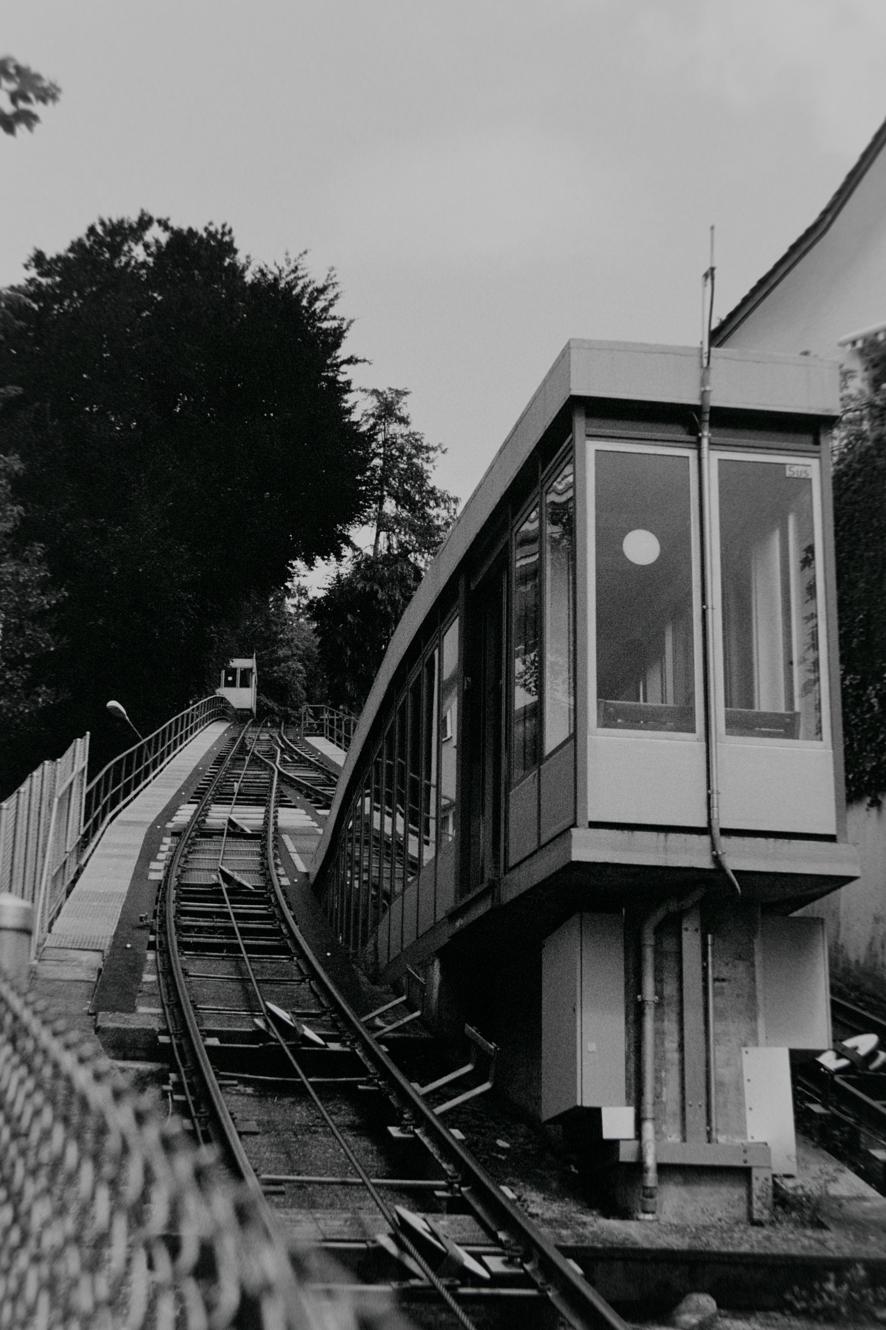 photo df85415209209010