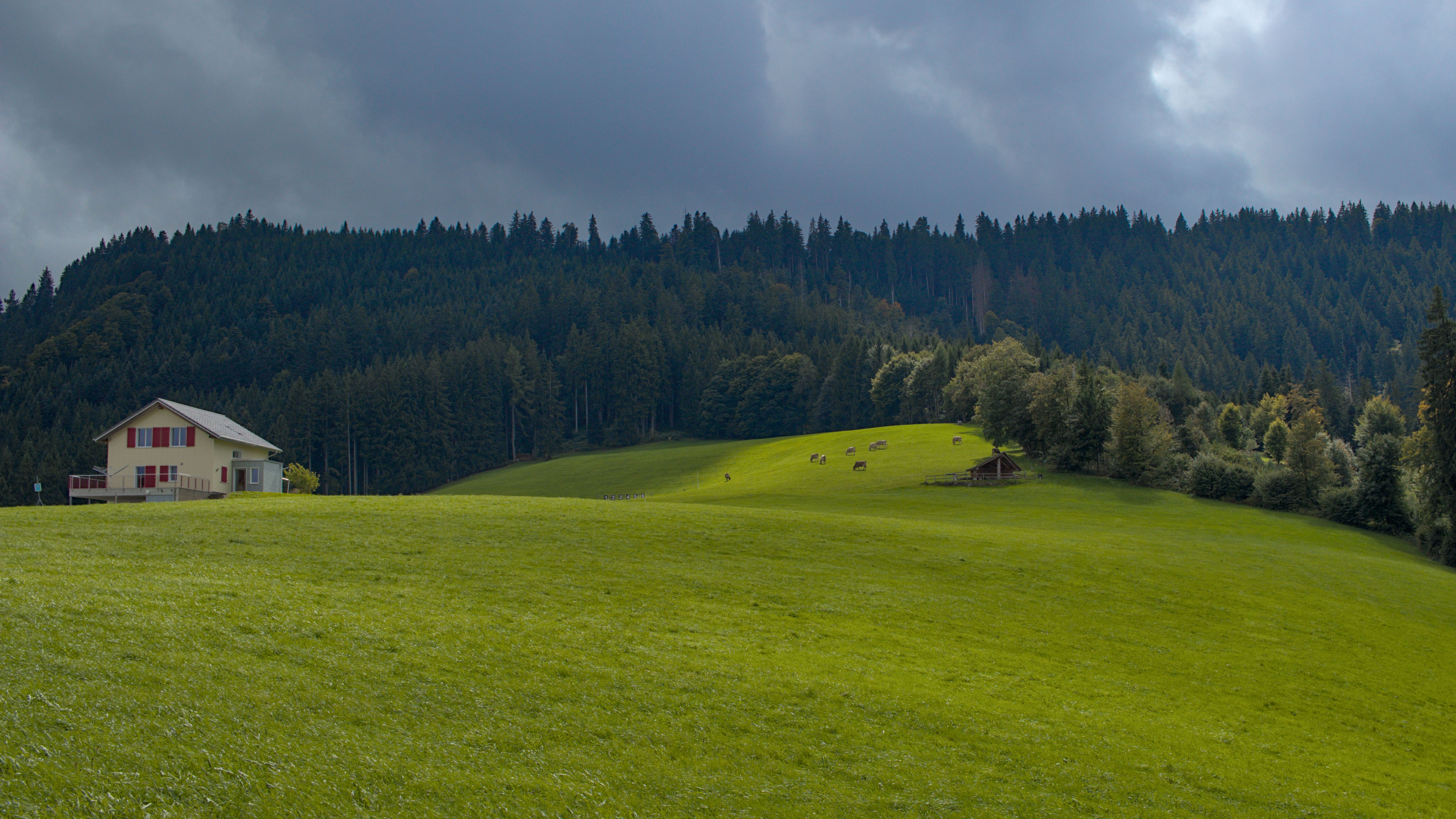 photo e622ec976b692128