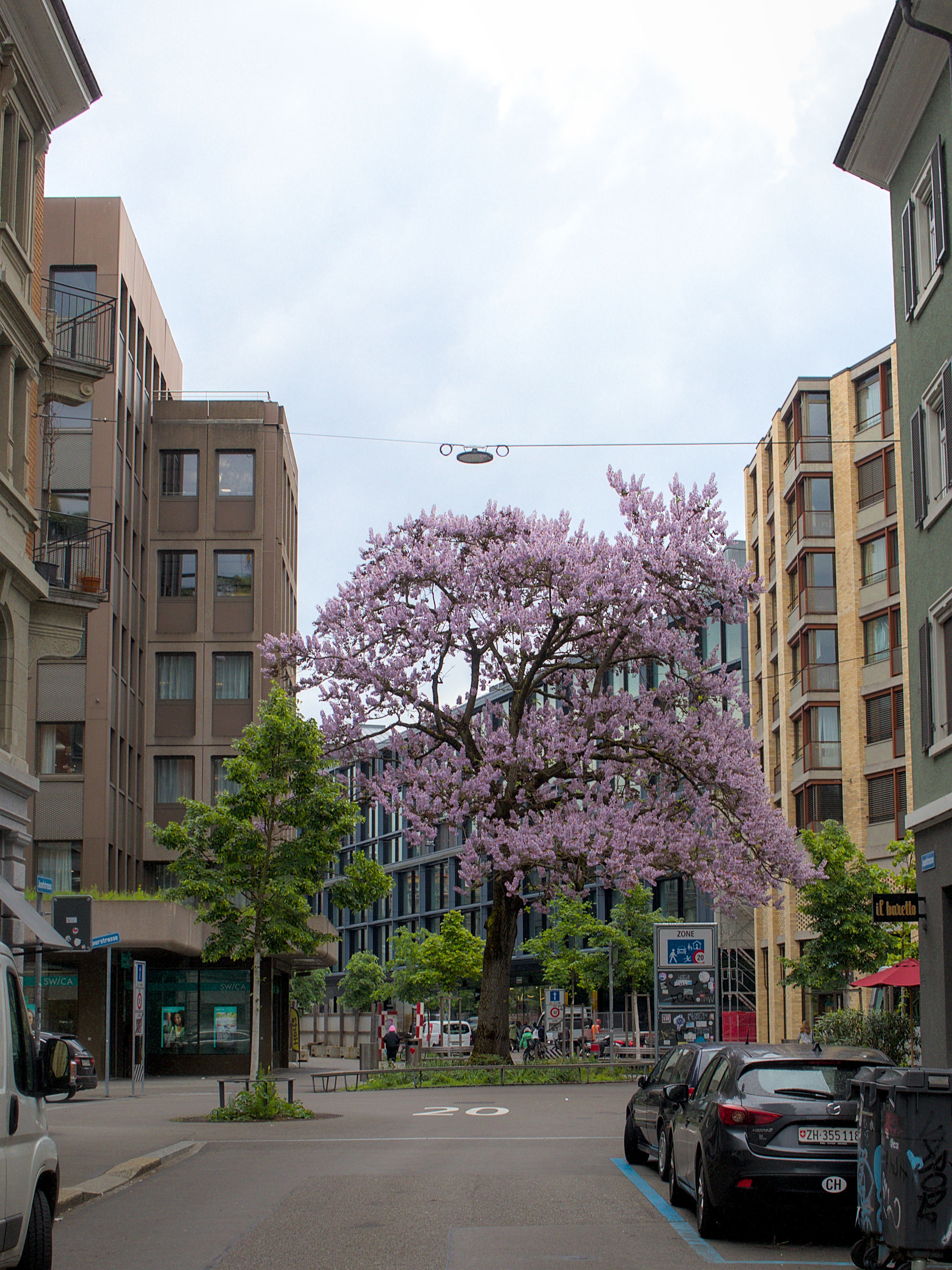 photo e8cda02d59028bcc