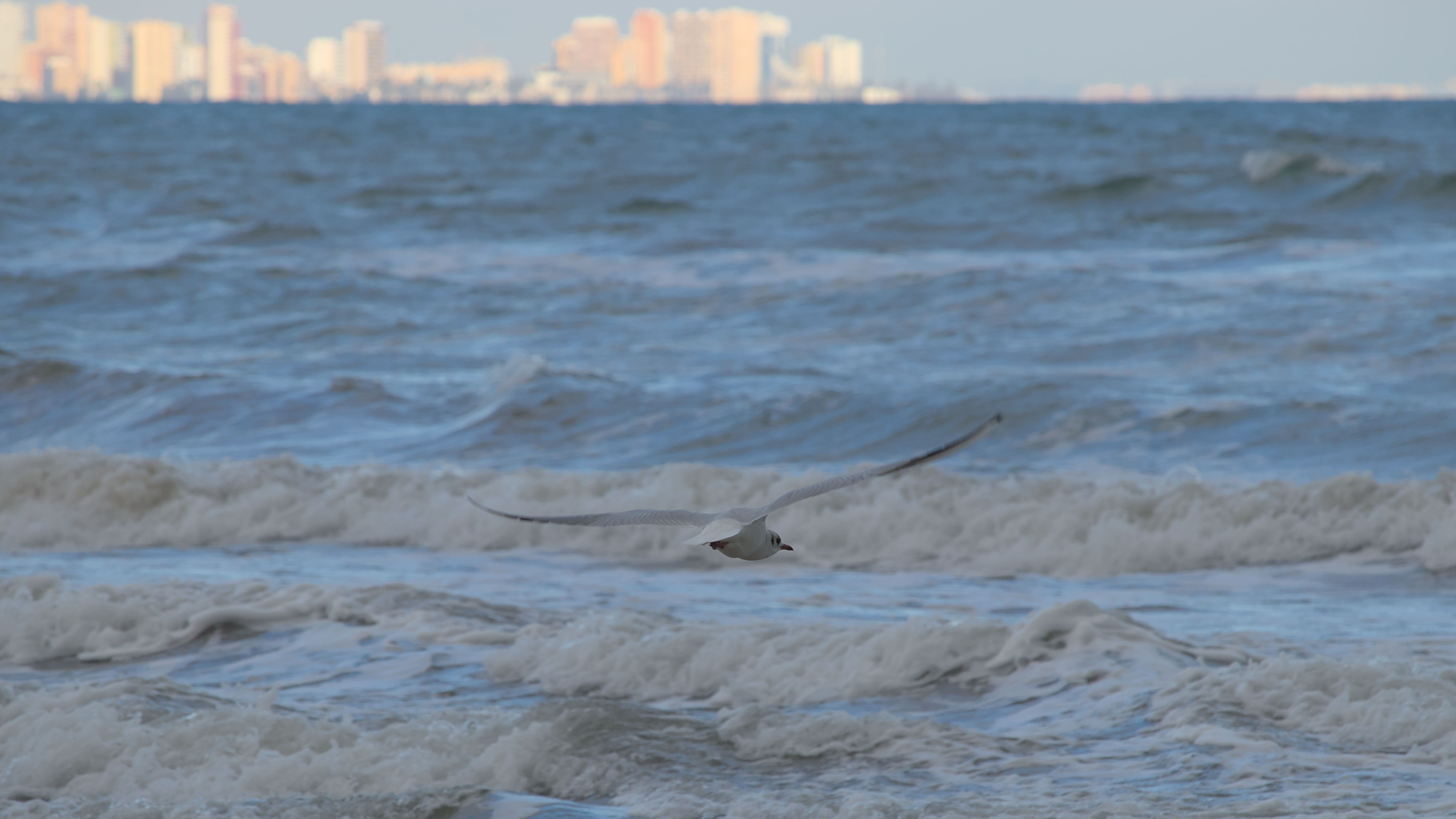 photo f028b5a7d9114ba5