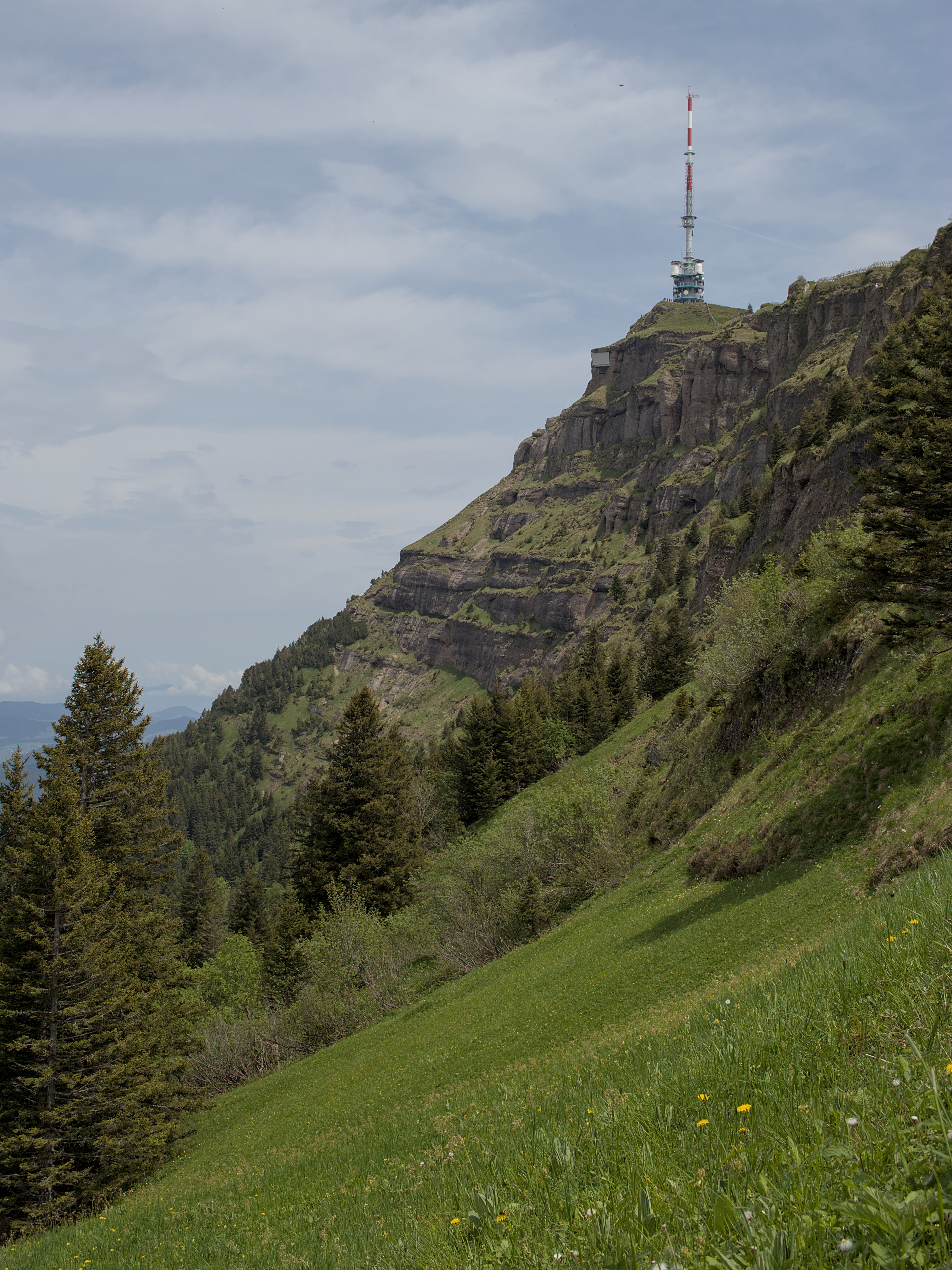 photo f03ce934426c6600