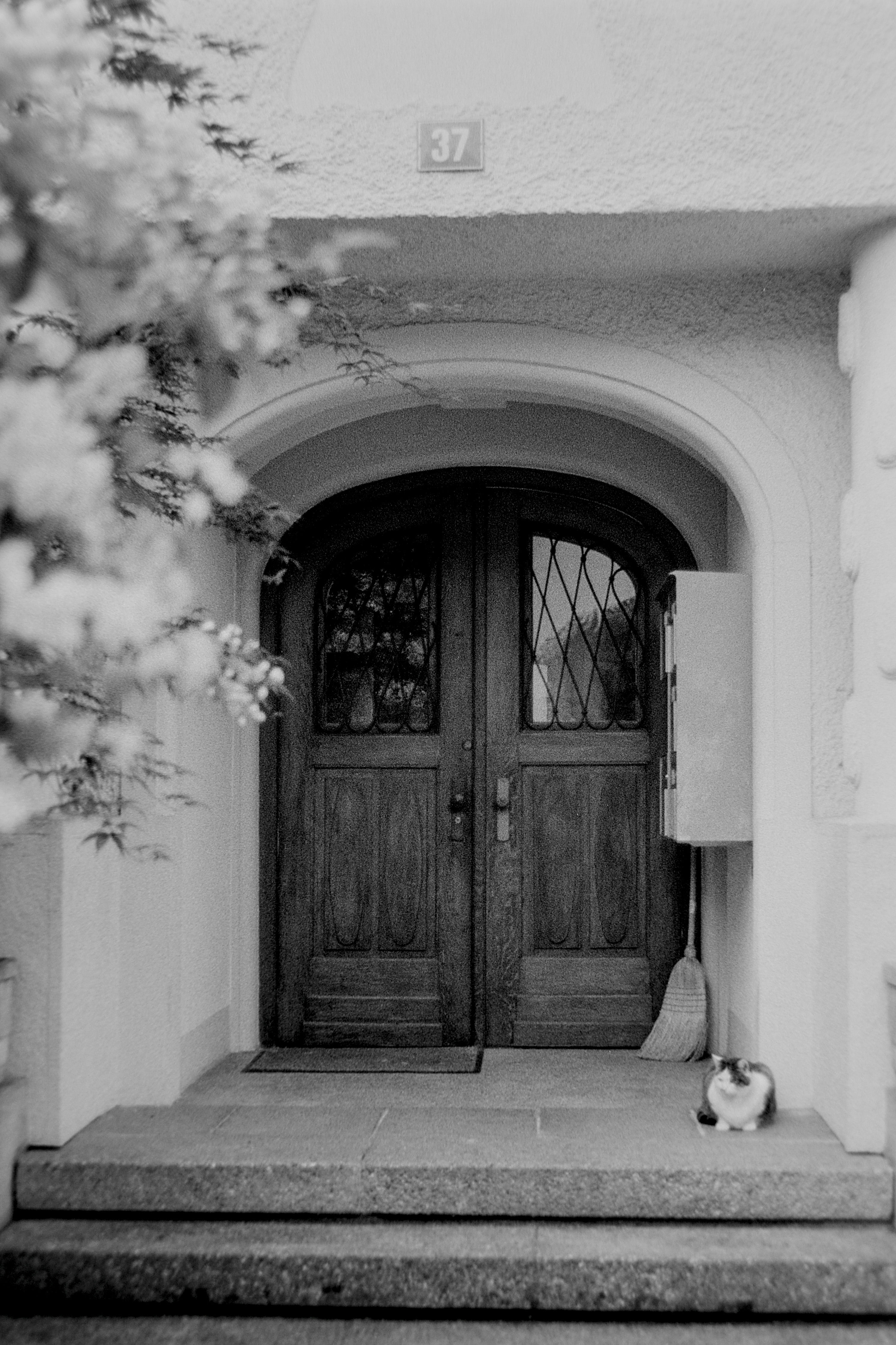 photo f0fd37e0983009ad