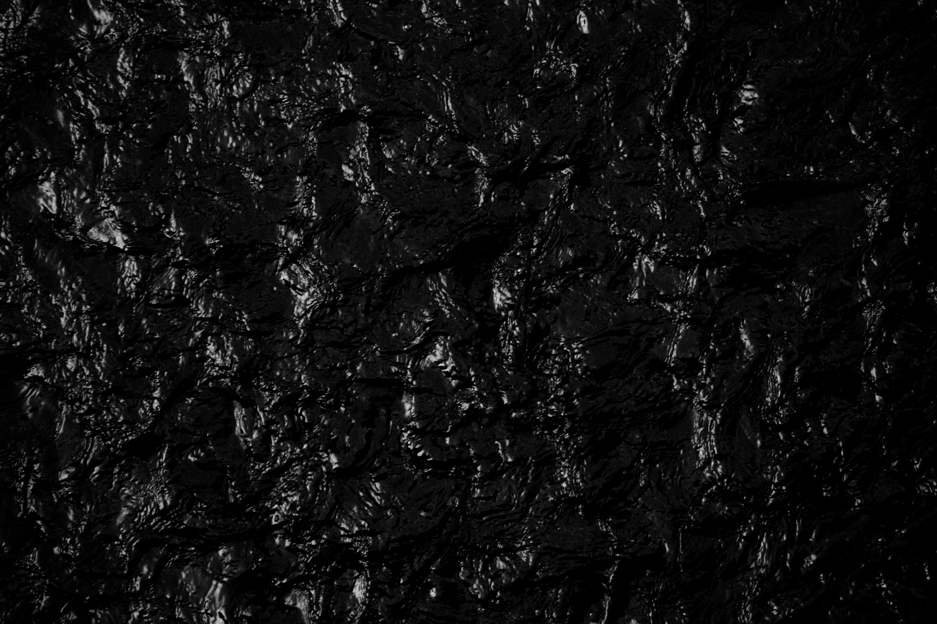 photo f38f55e12e6cc538