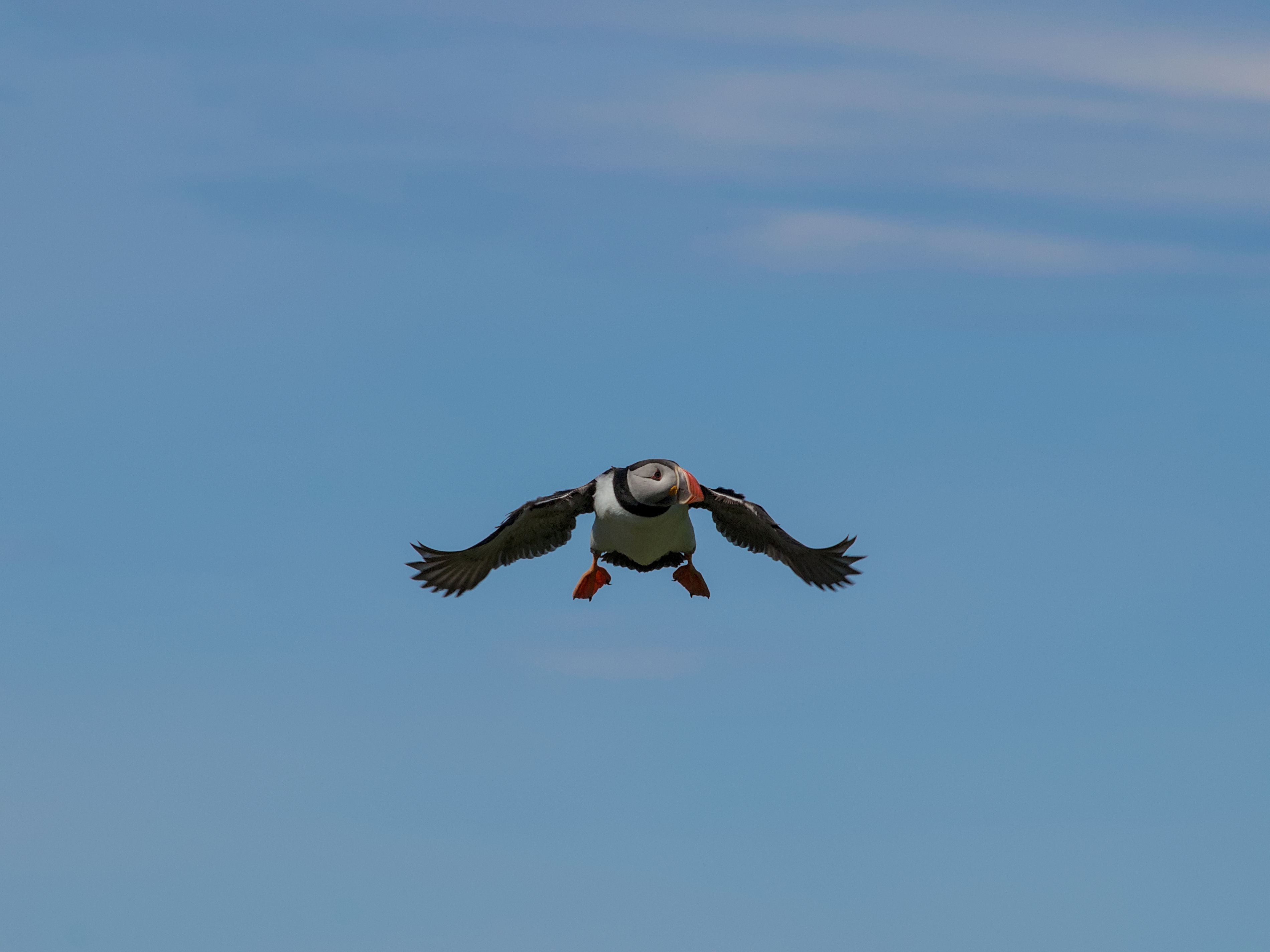 photo f4a3b5d5b52e3172