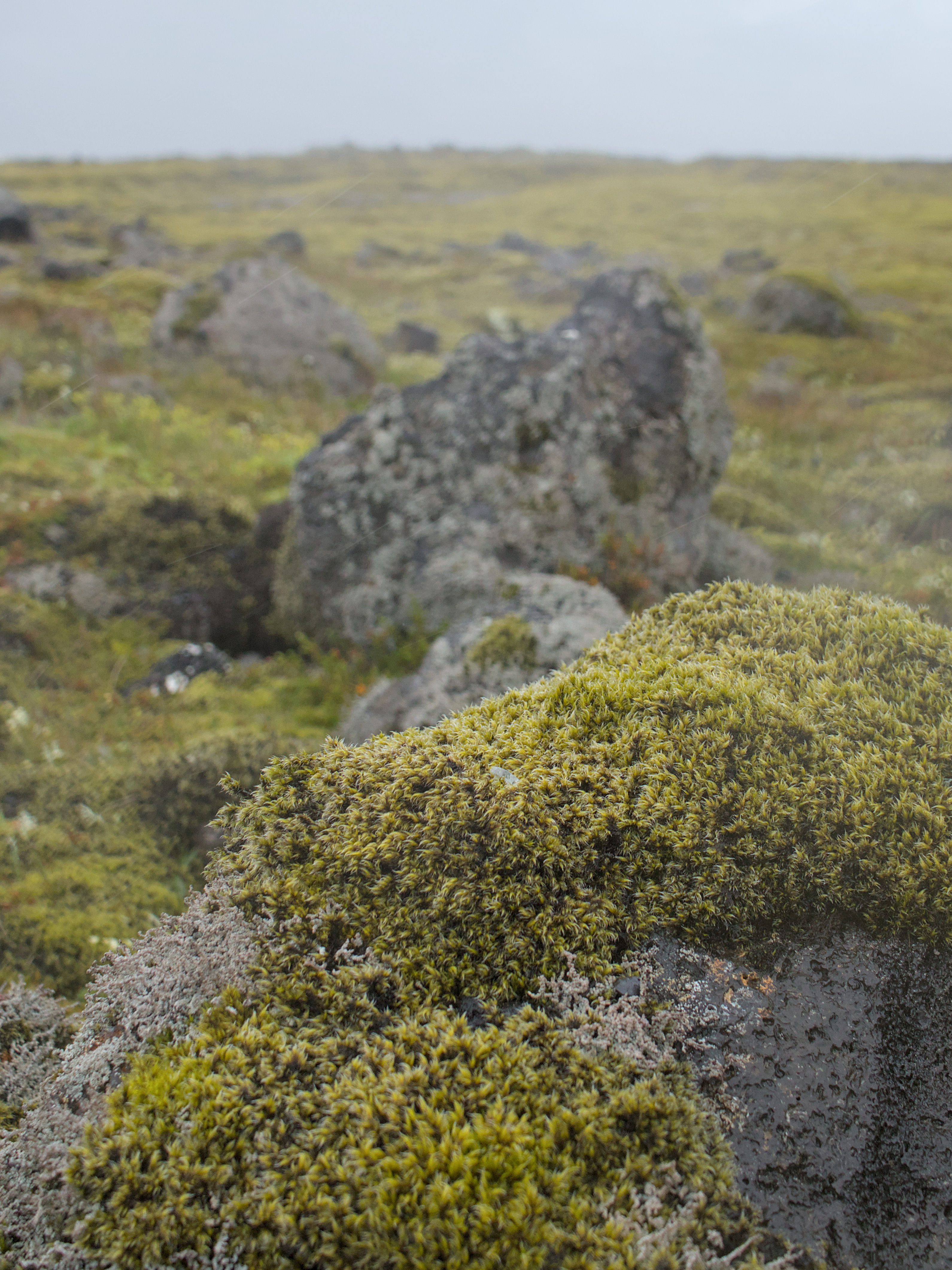 photo f7a61a772536a995