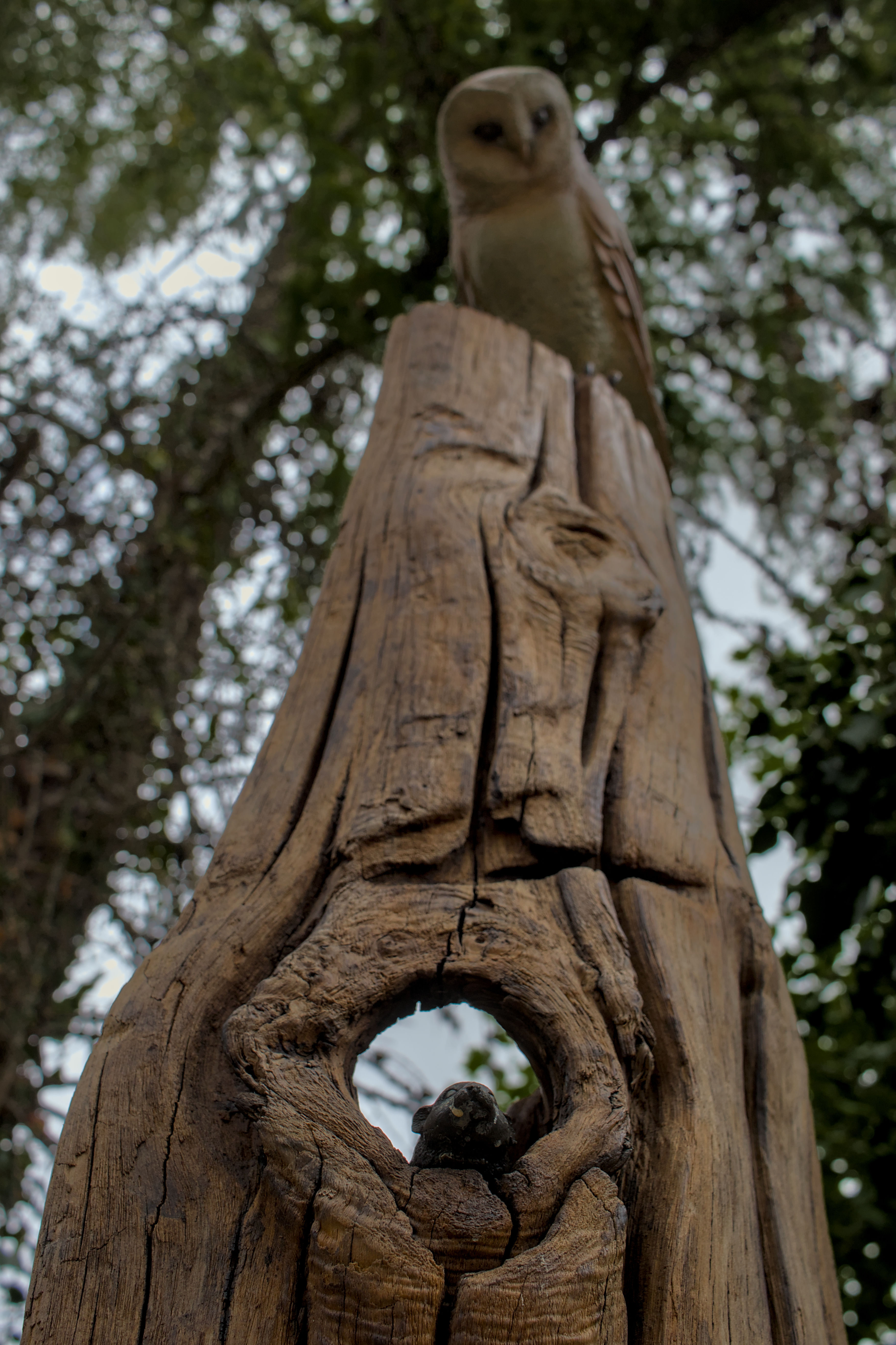 photo f847f9b55ee37dcd