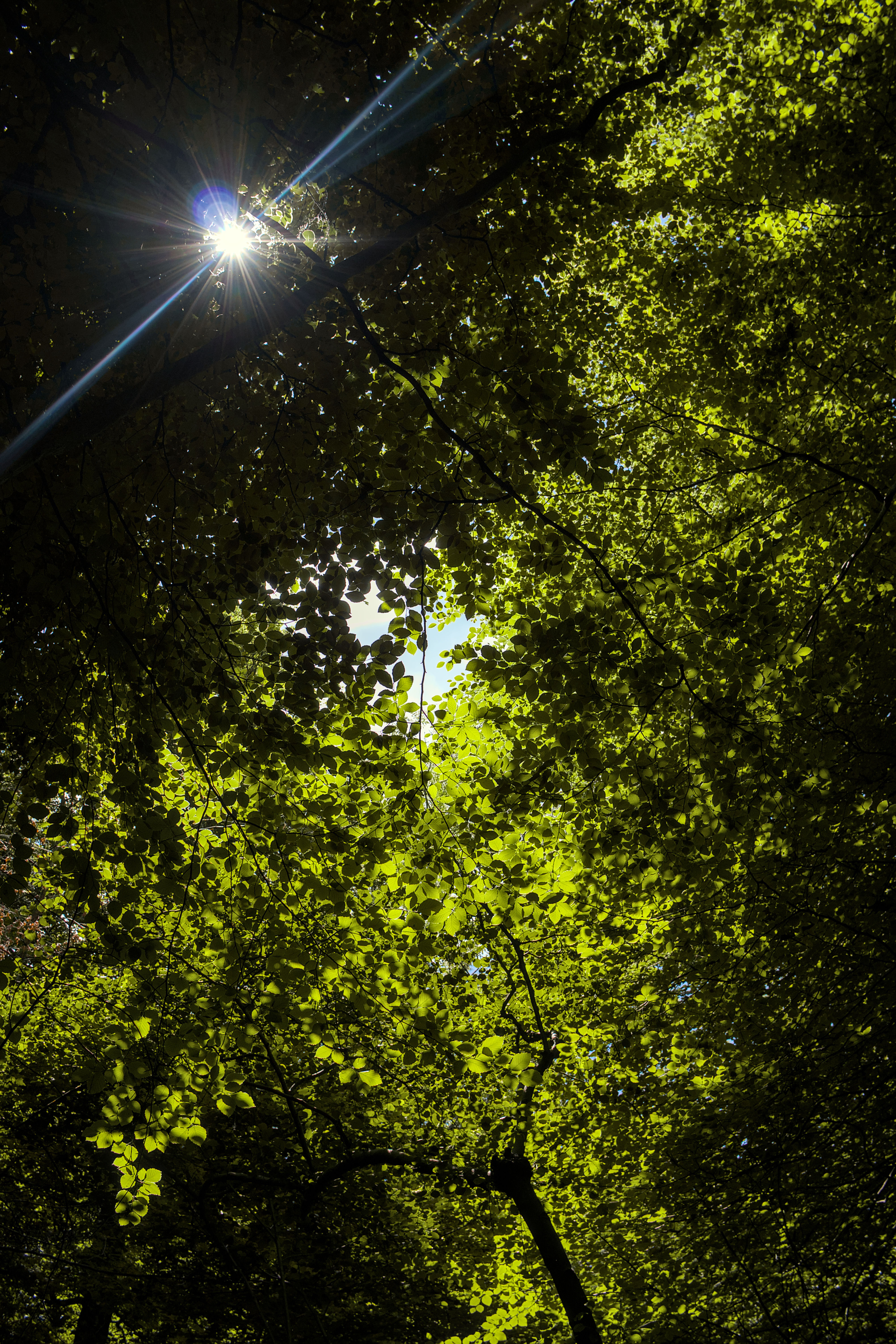 photo fac5e7afa9fbbaf6