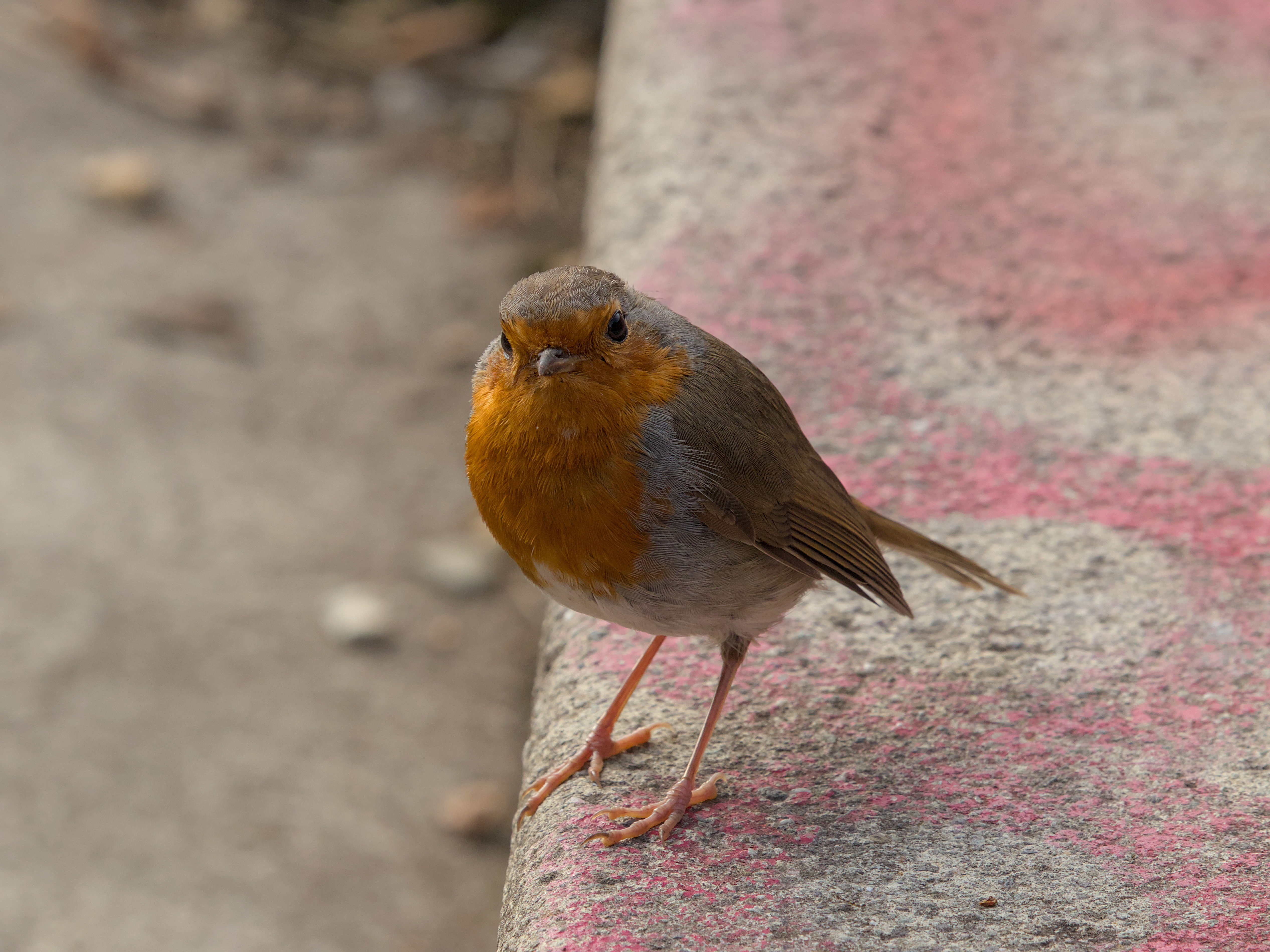 photo fb41d9a333bfdbbb