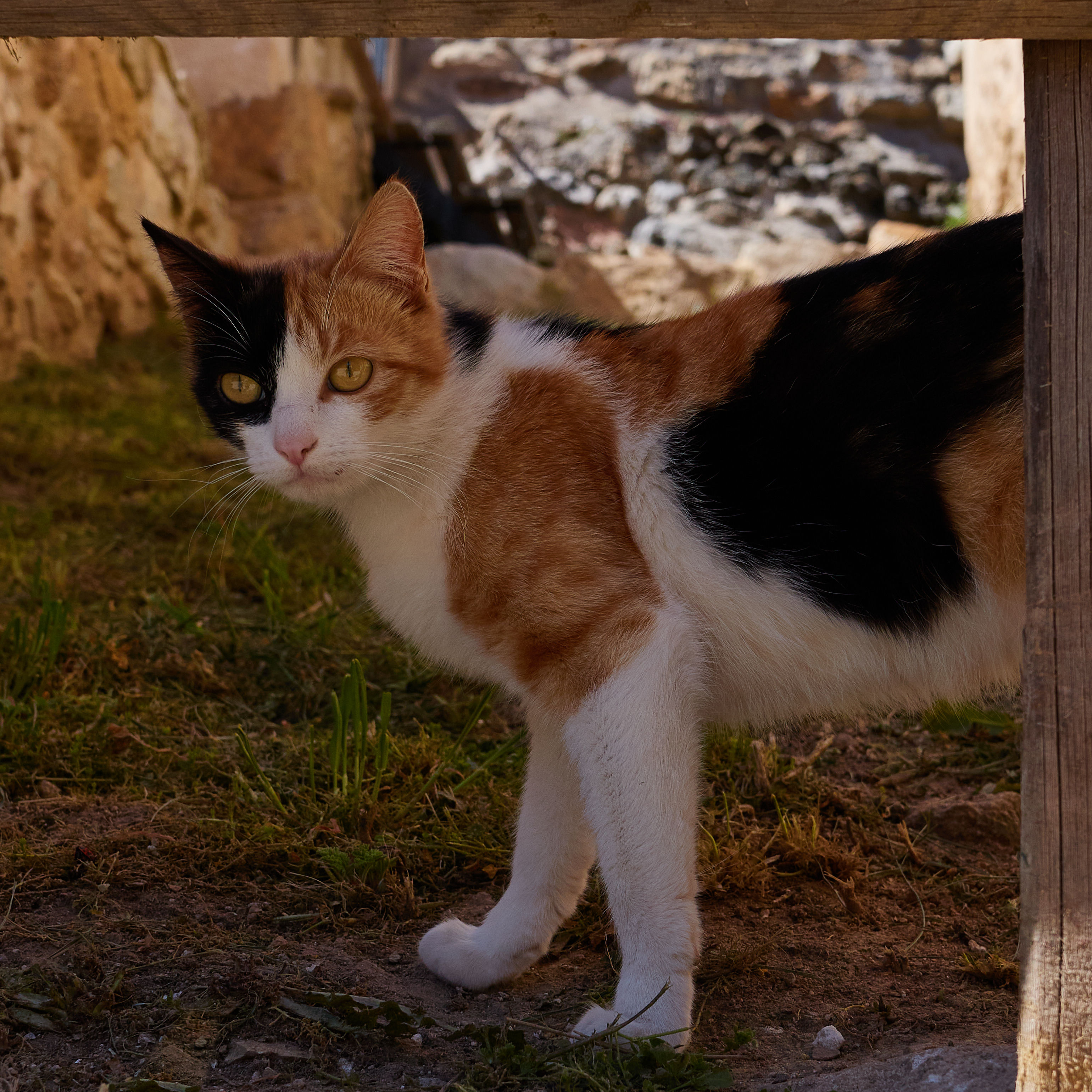 photo fde0740a152cfb59