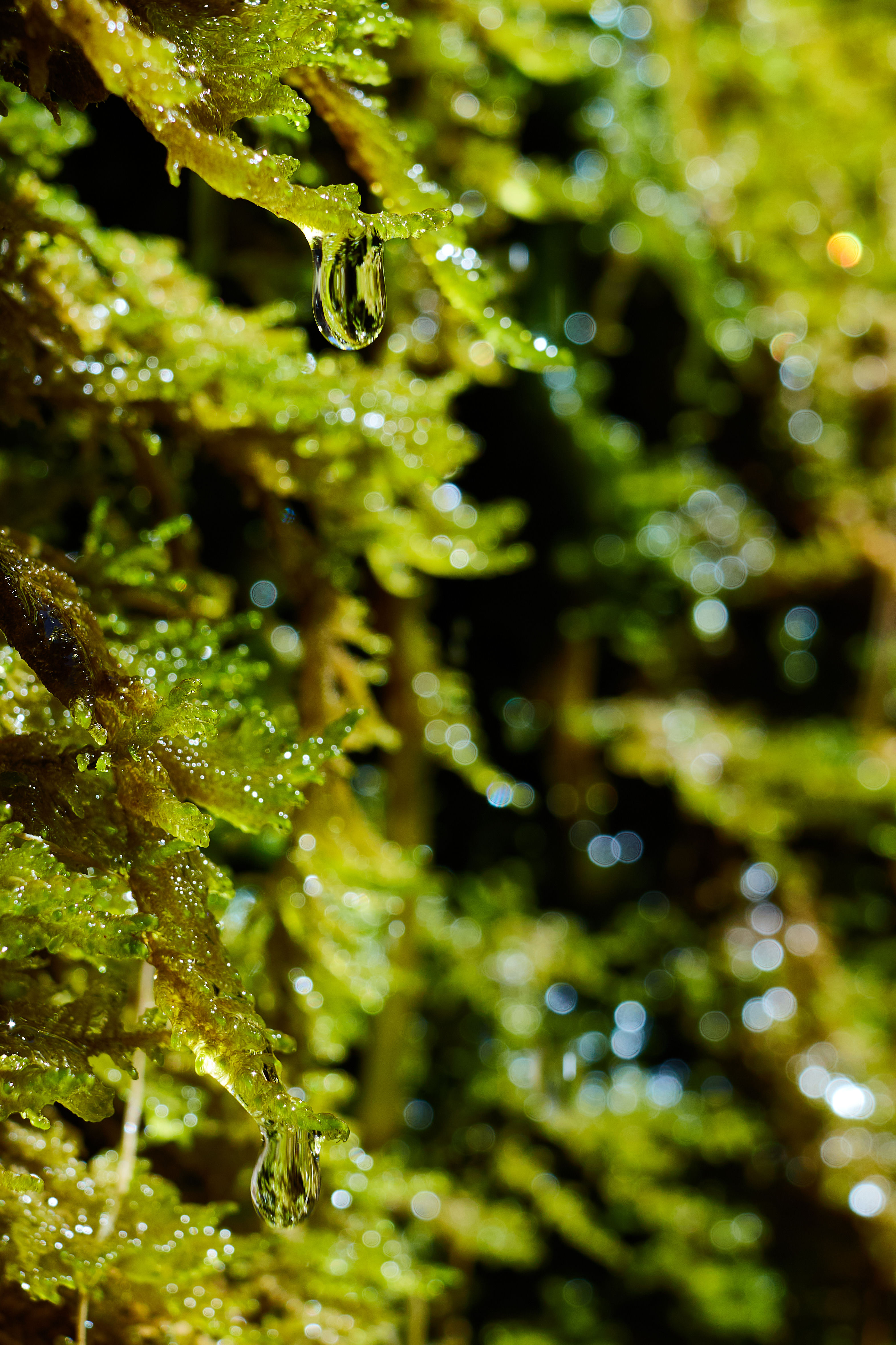 photo fe25c823ea2a9910